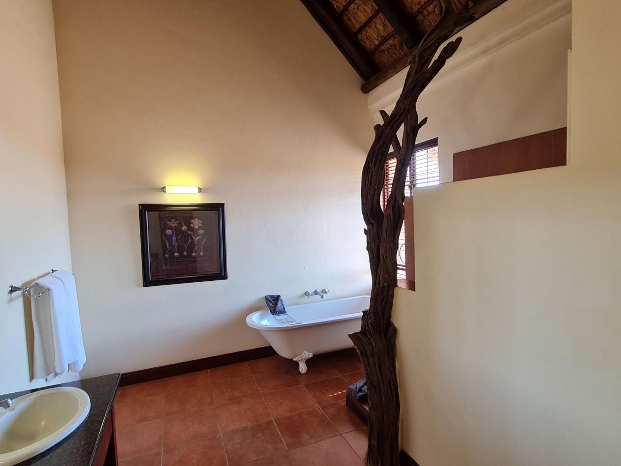 Photo 42