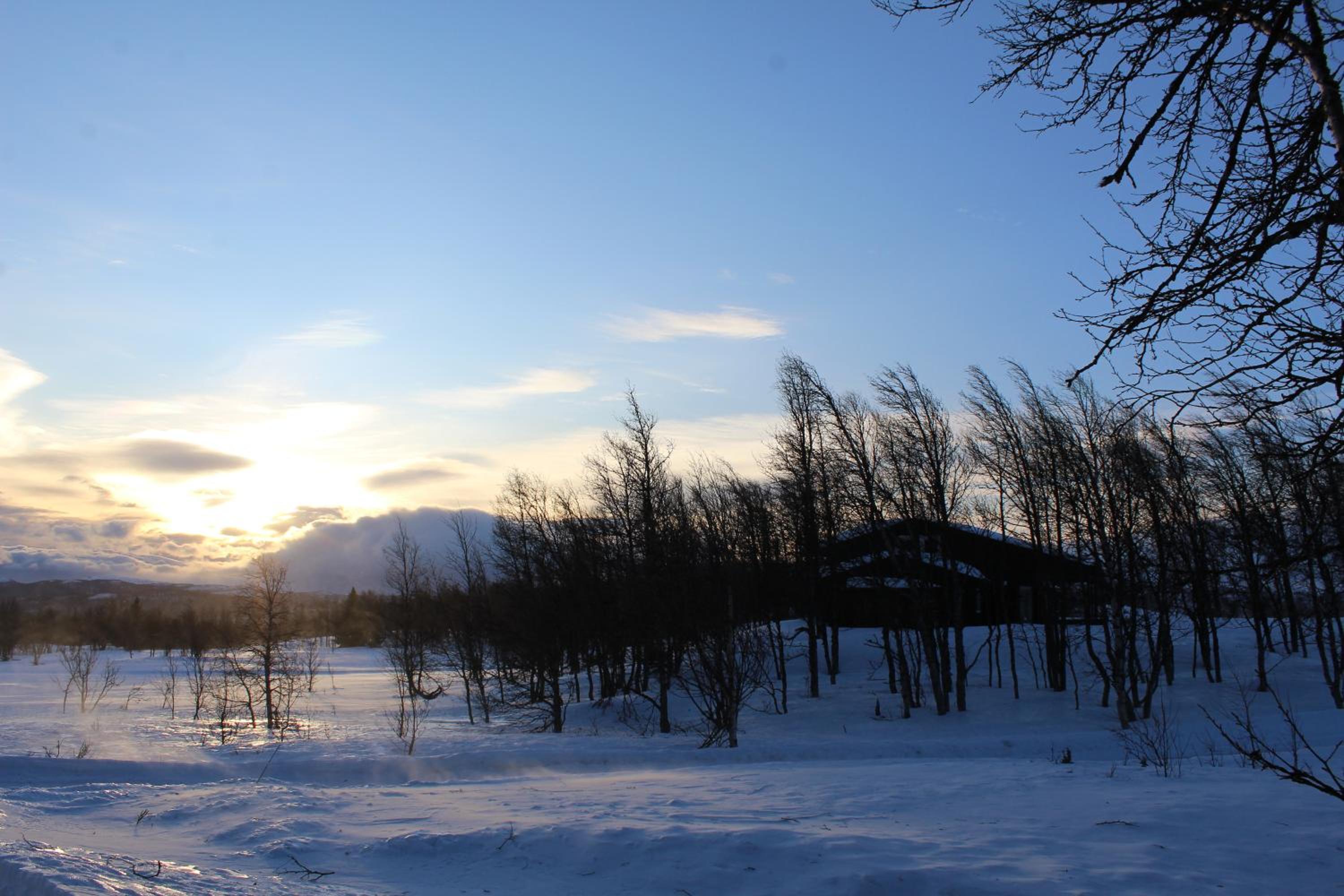 Photo 12