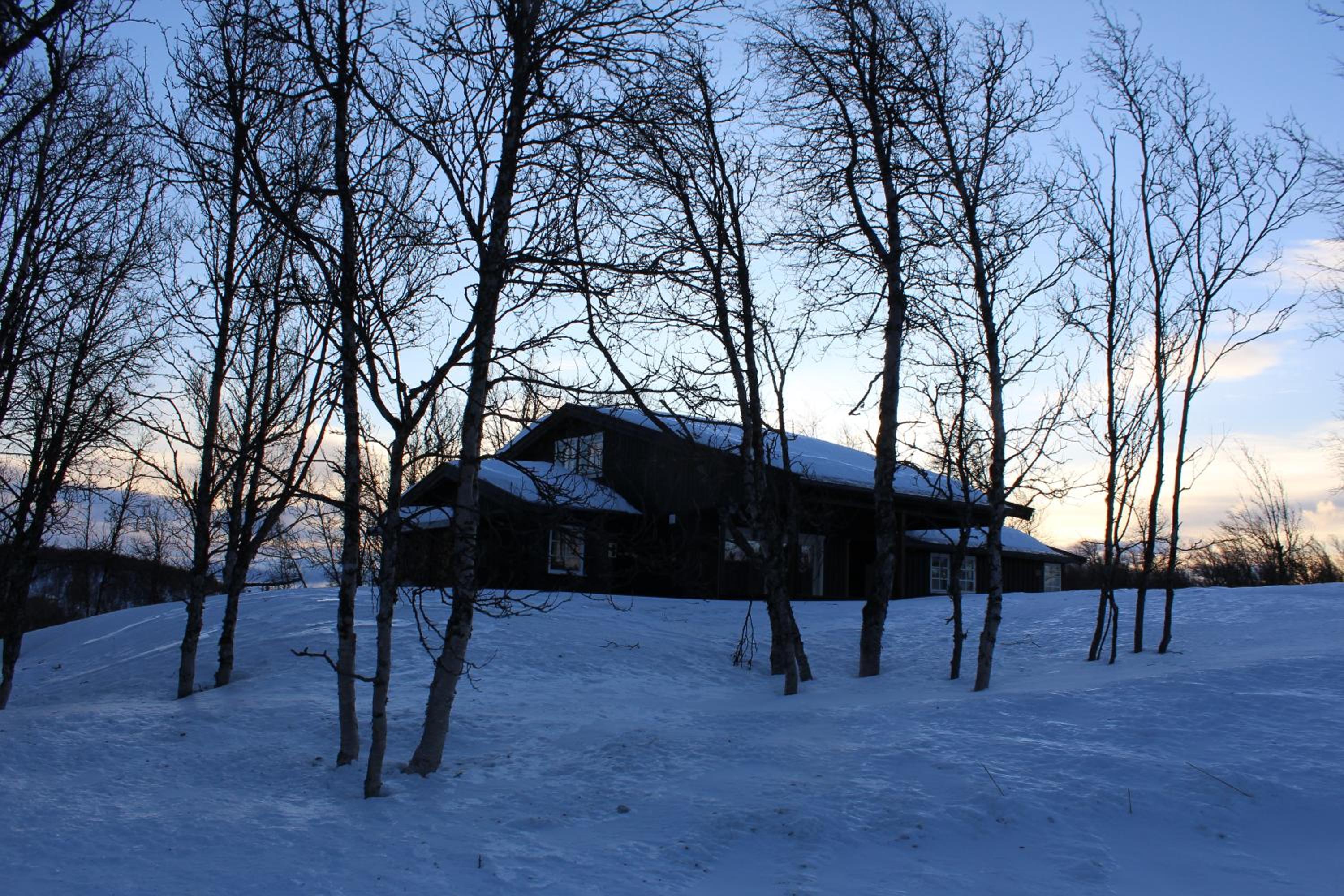 Photo 14