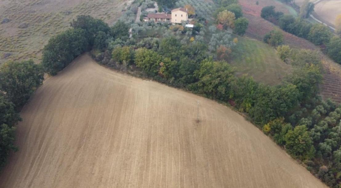 Tenuta Colverano