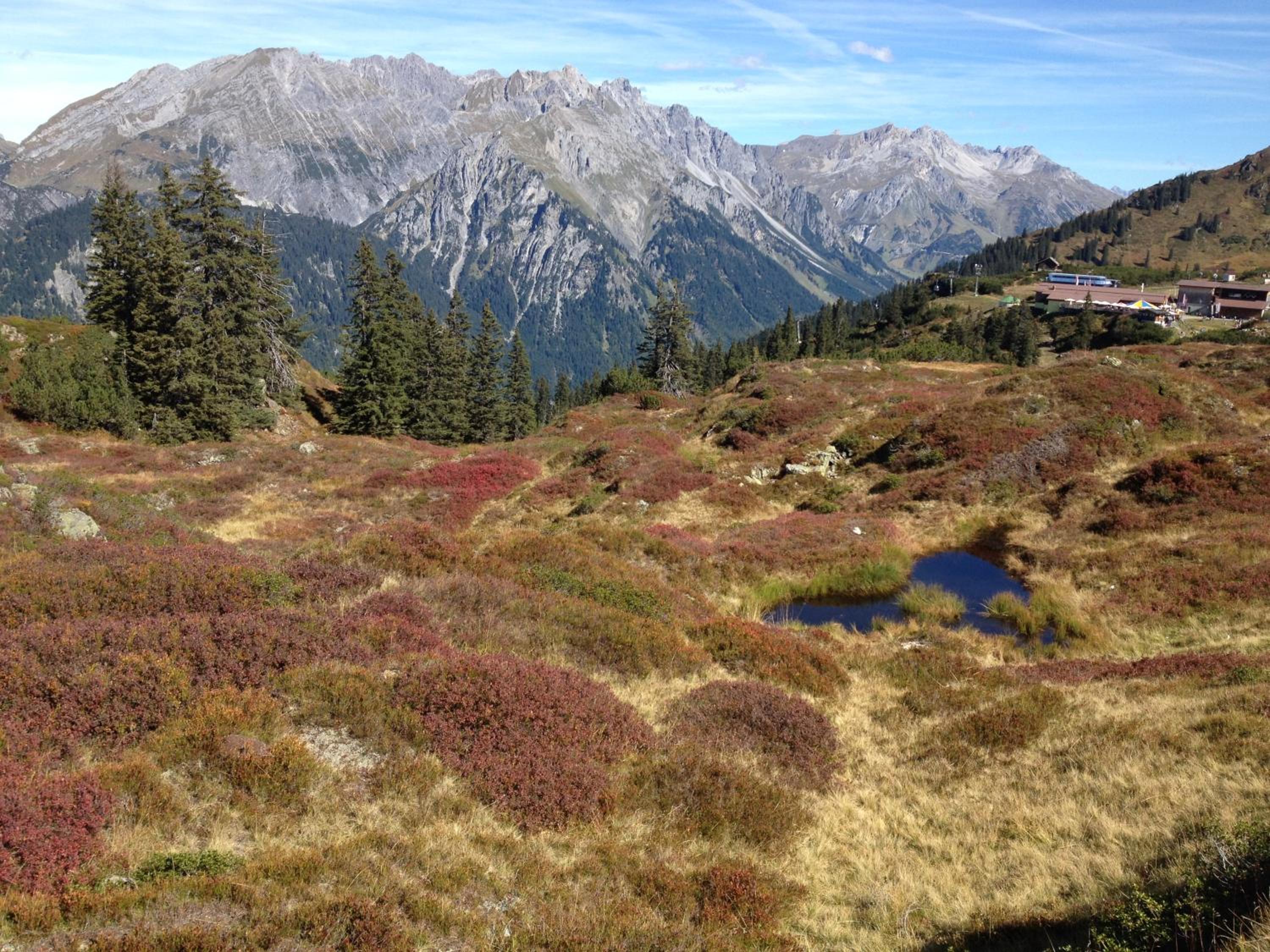 Photo 14
