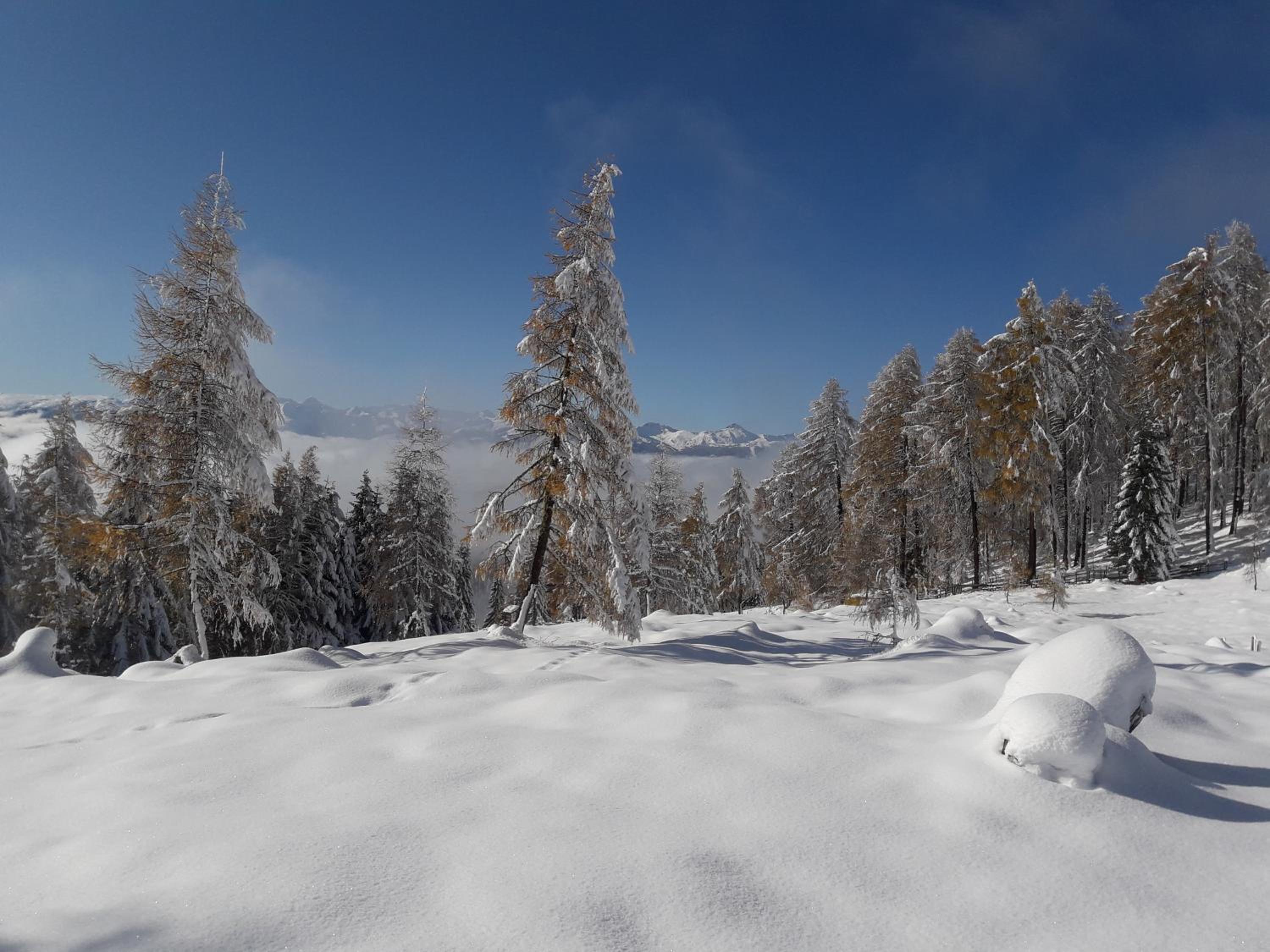 St. Andrä im Lungau - Ruhe und Natur view 4