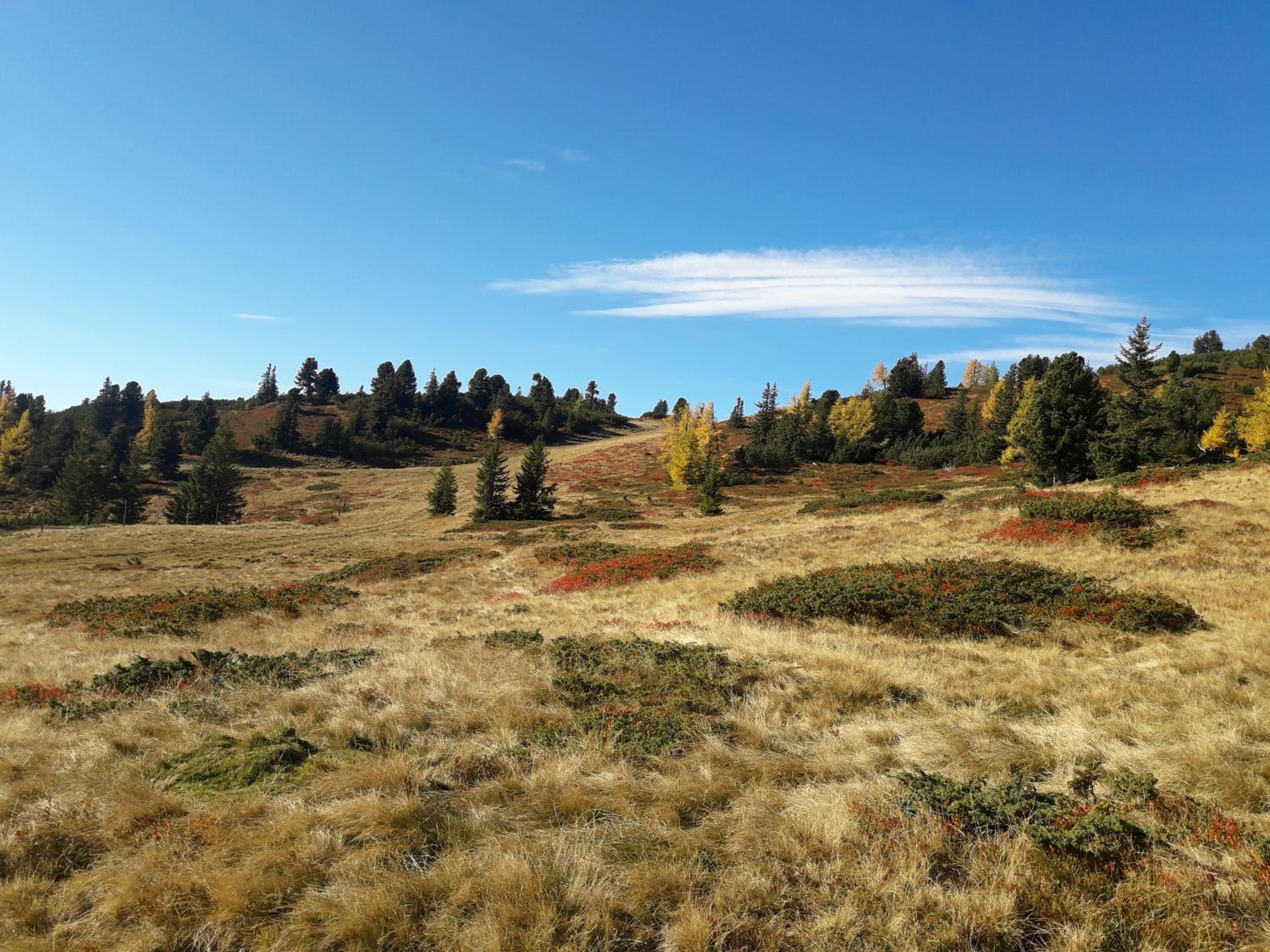 St. Andrä im Lungau - Ruhe und Natur view 3