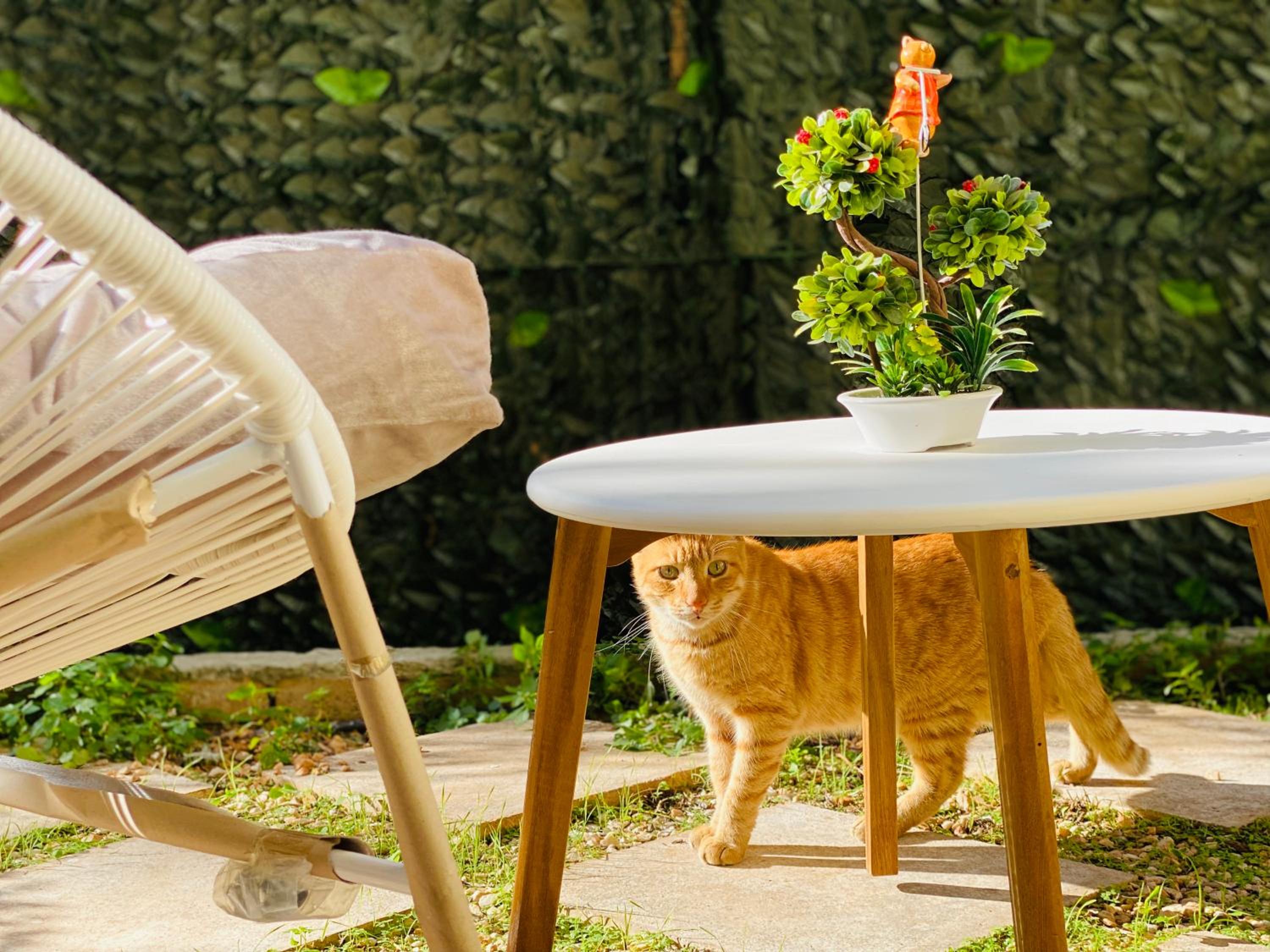 Hotel Cozy apartment near sea - Image 1