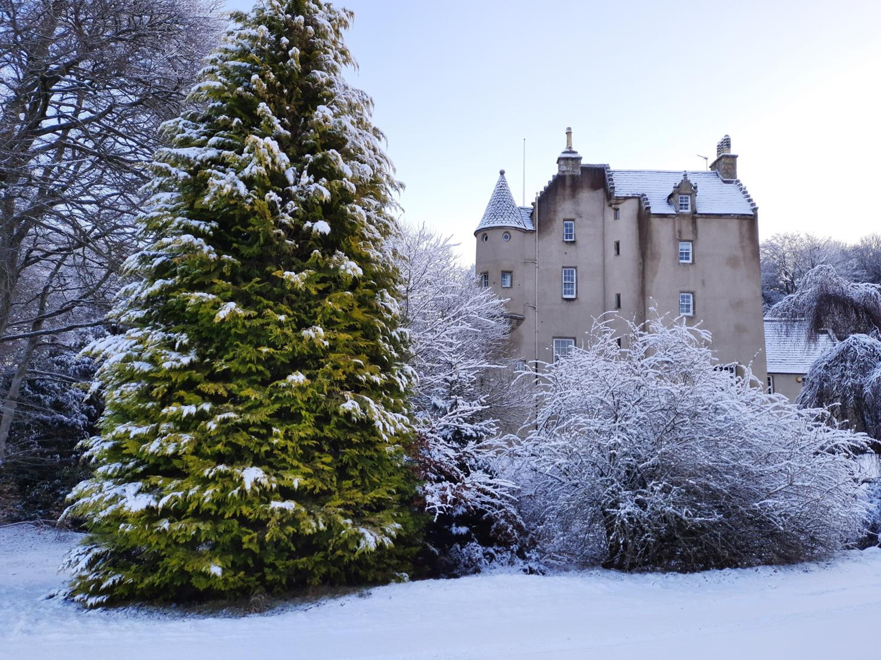 Lickleyhead Castle view 5