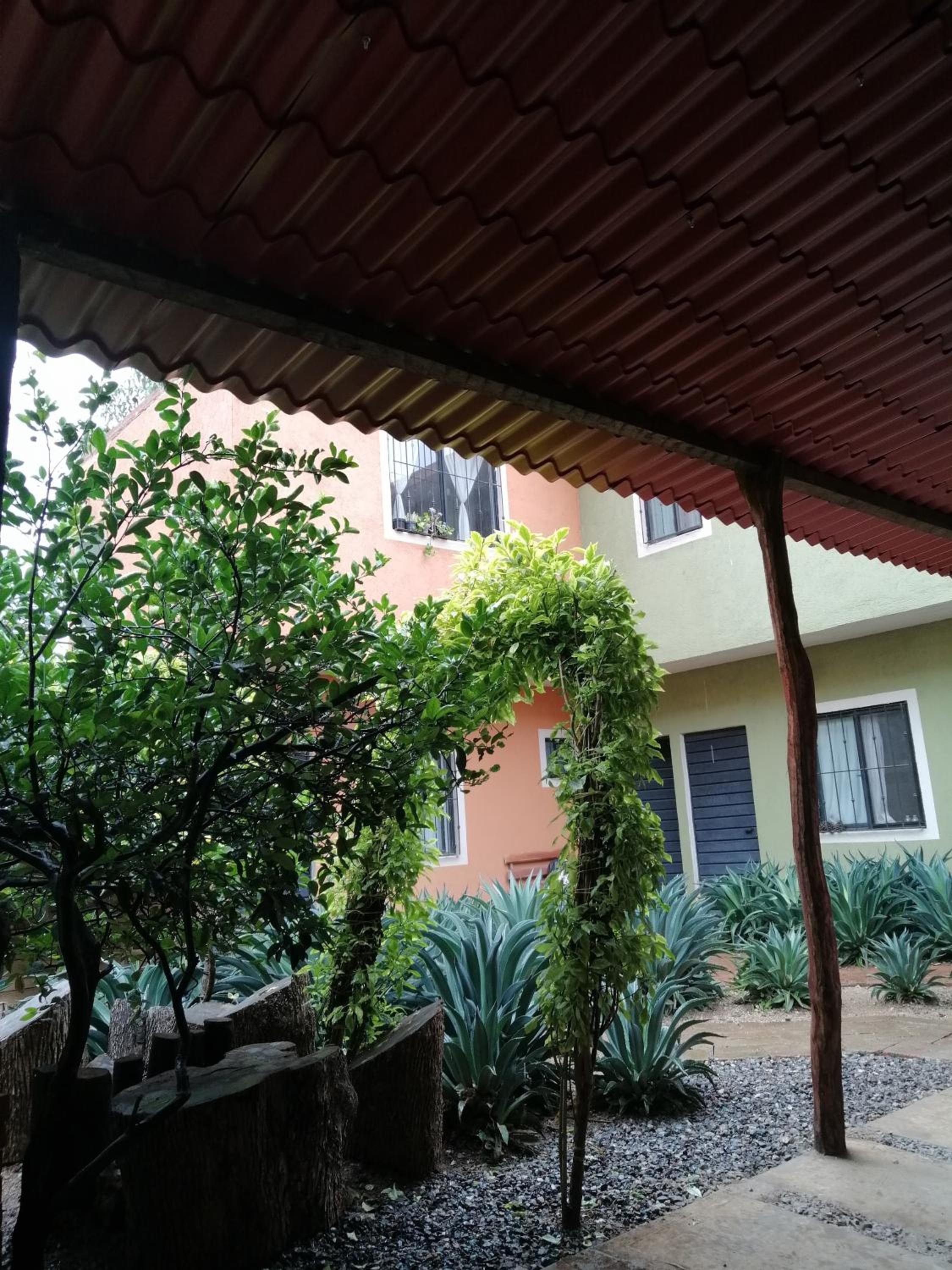 Photo 20