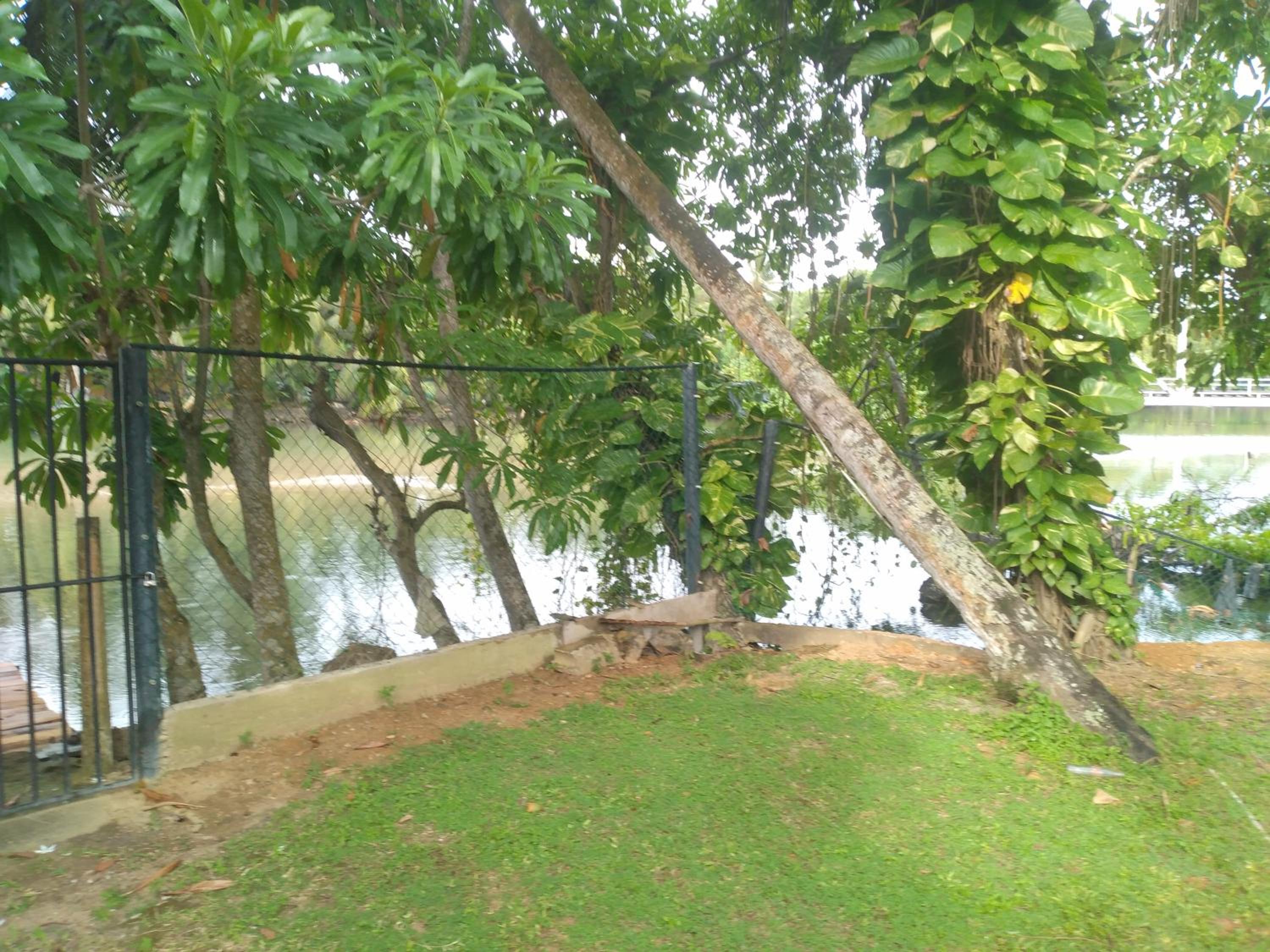 Photo 41
