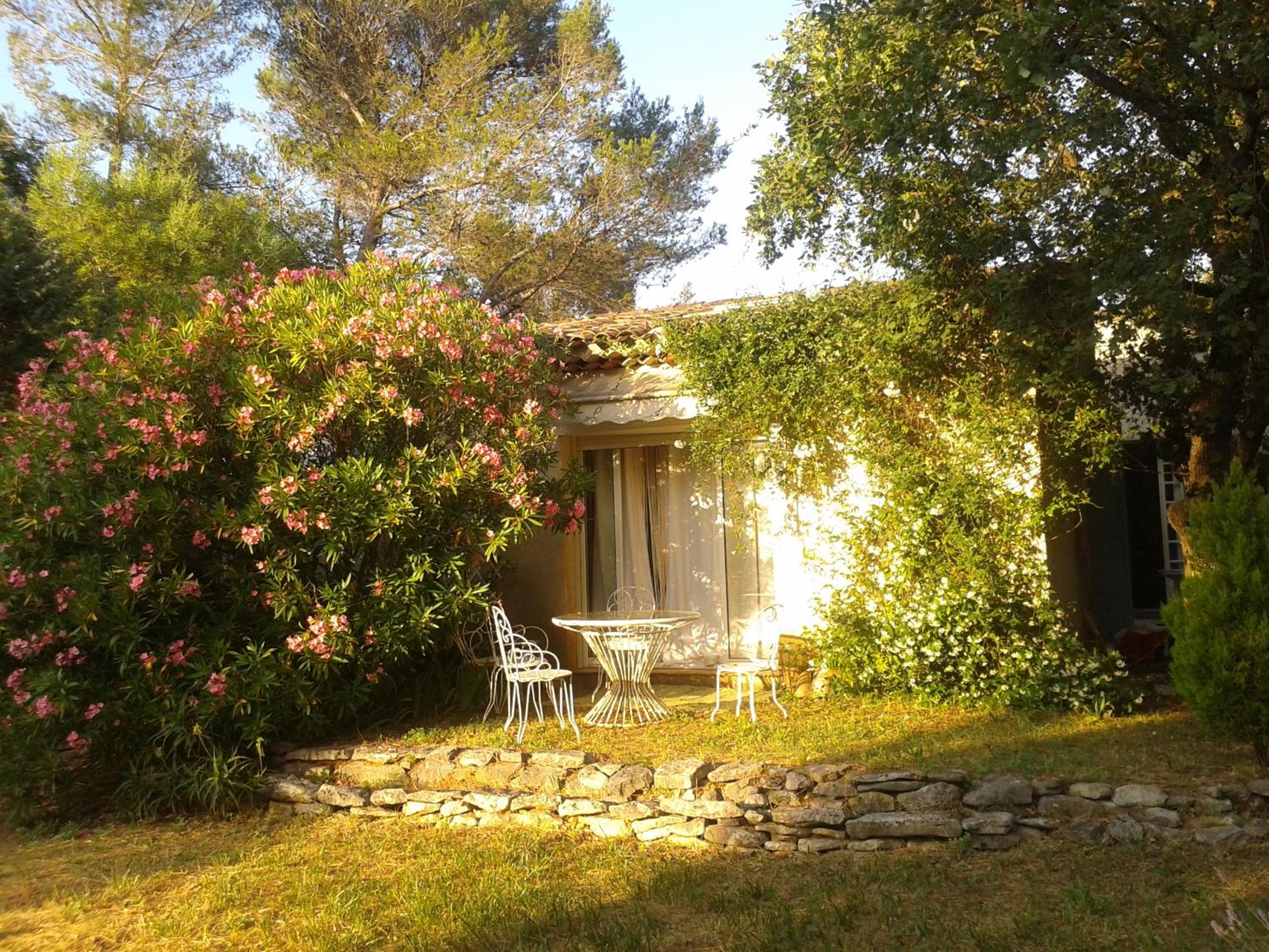 Photo 6
