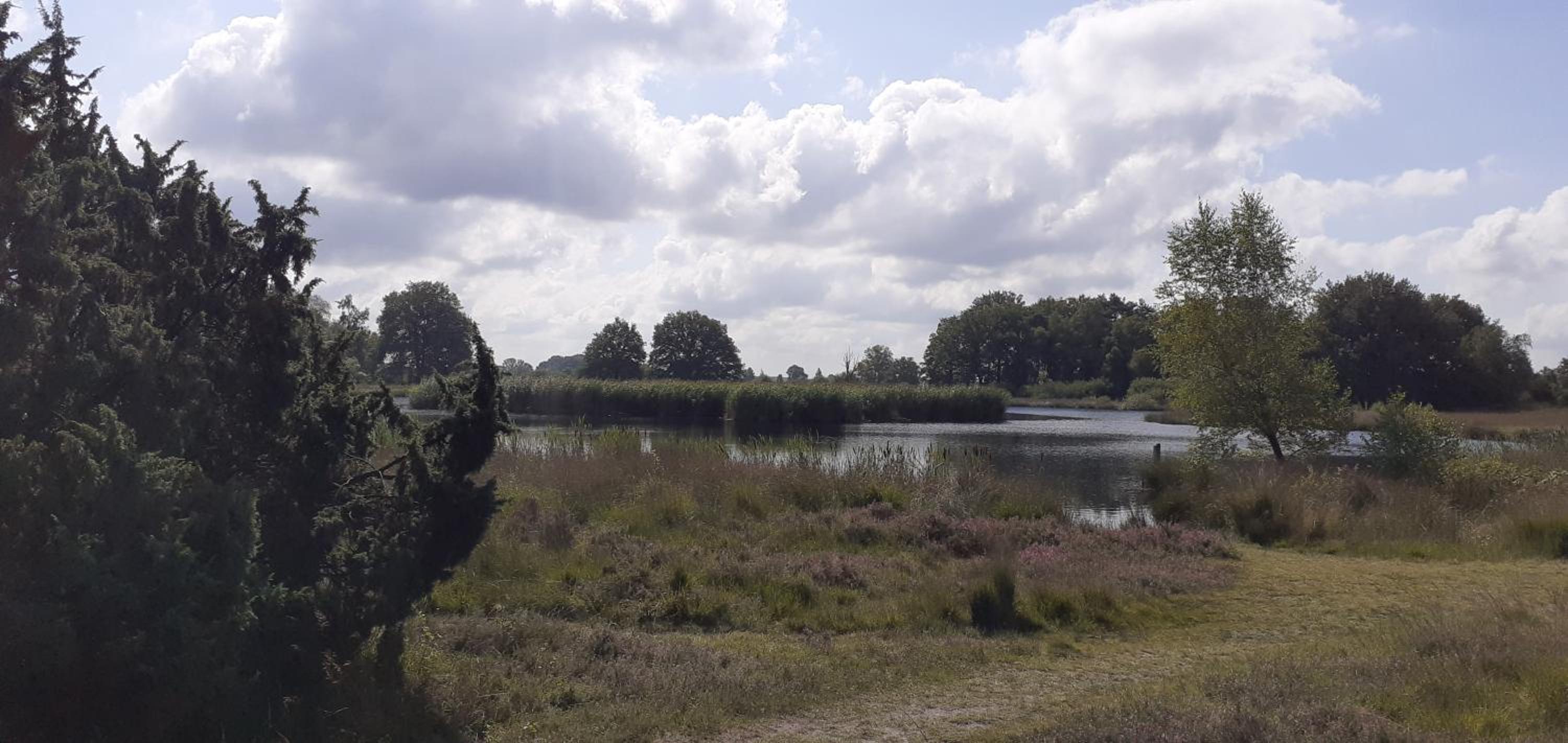 Photo 48