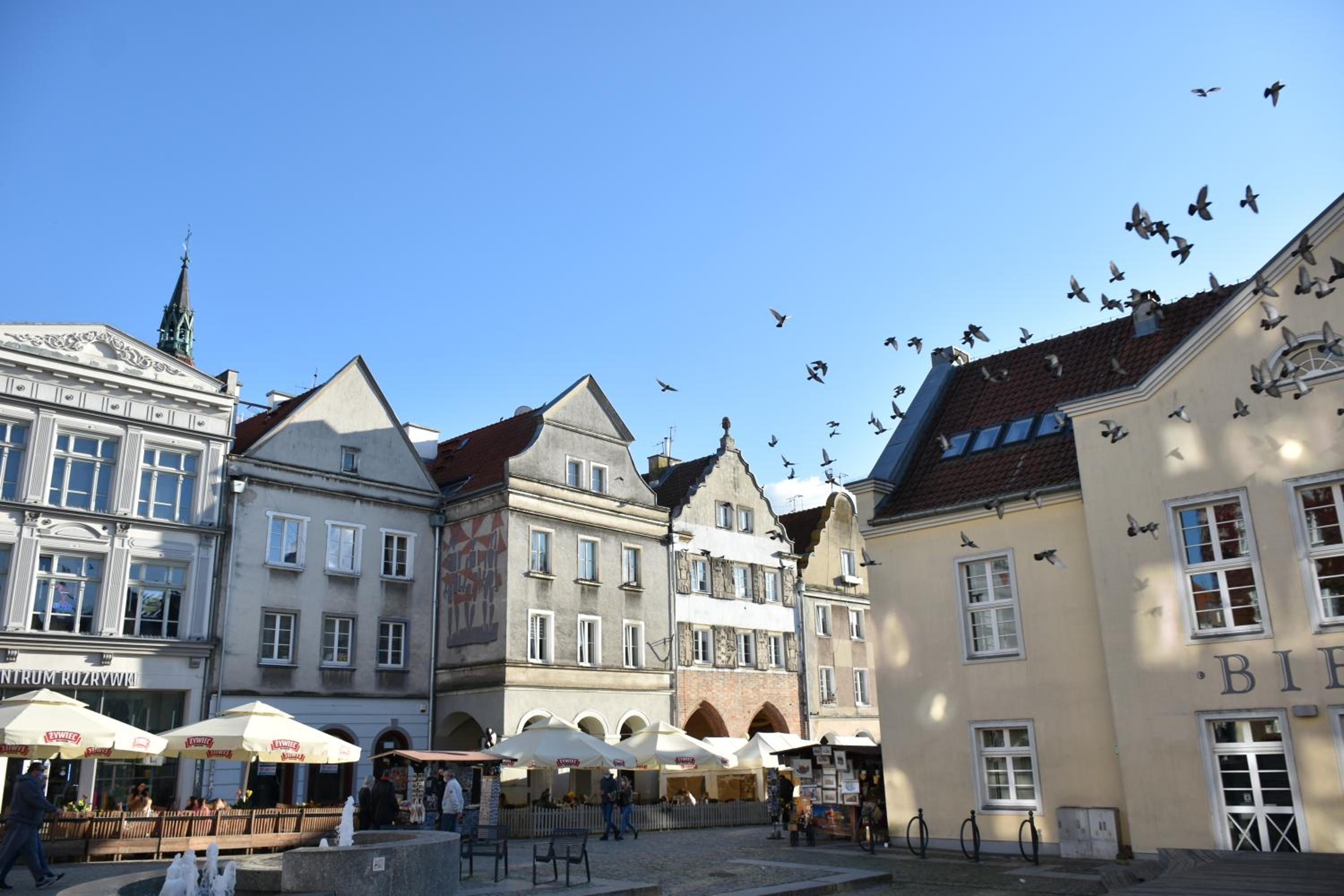 Copernicus Prestige, photo 2