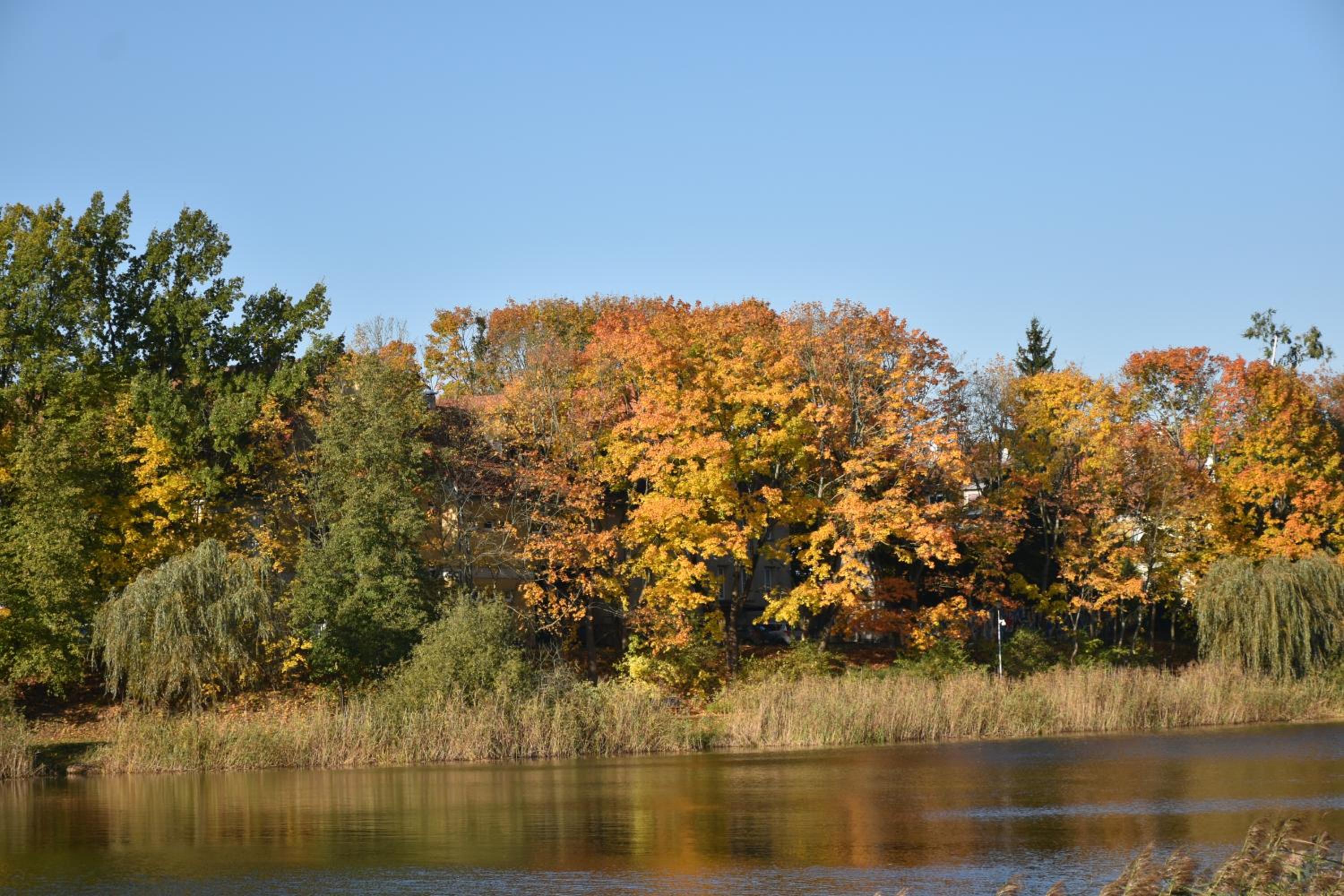 Photo 31