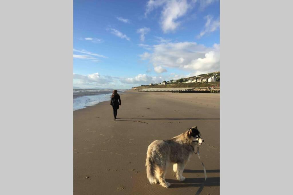 Hendre Fechan Cottage, Nr Barmouth, Pets welcome, beautiful views. view 5