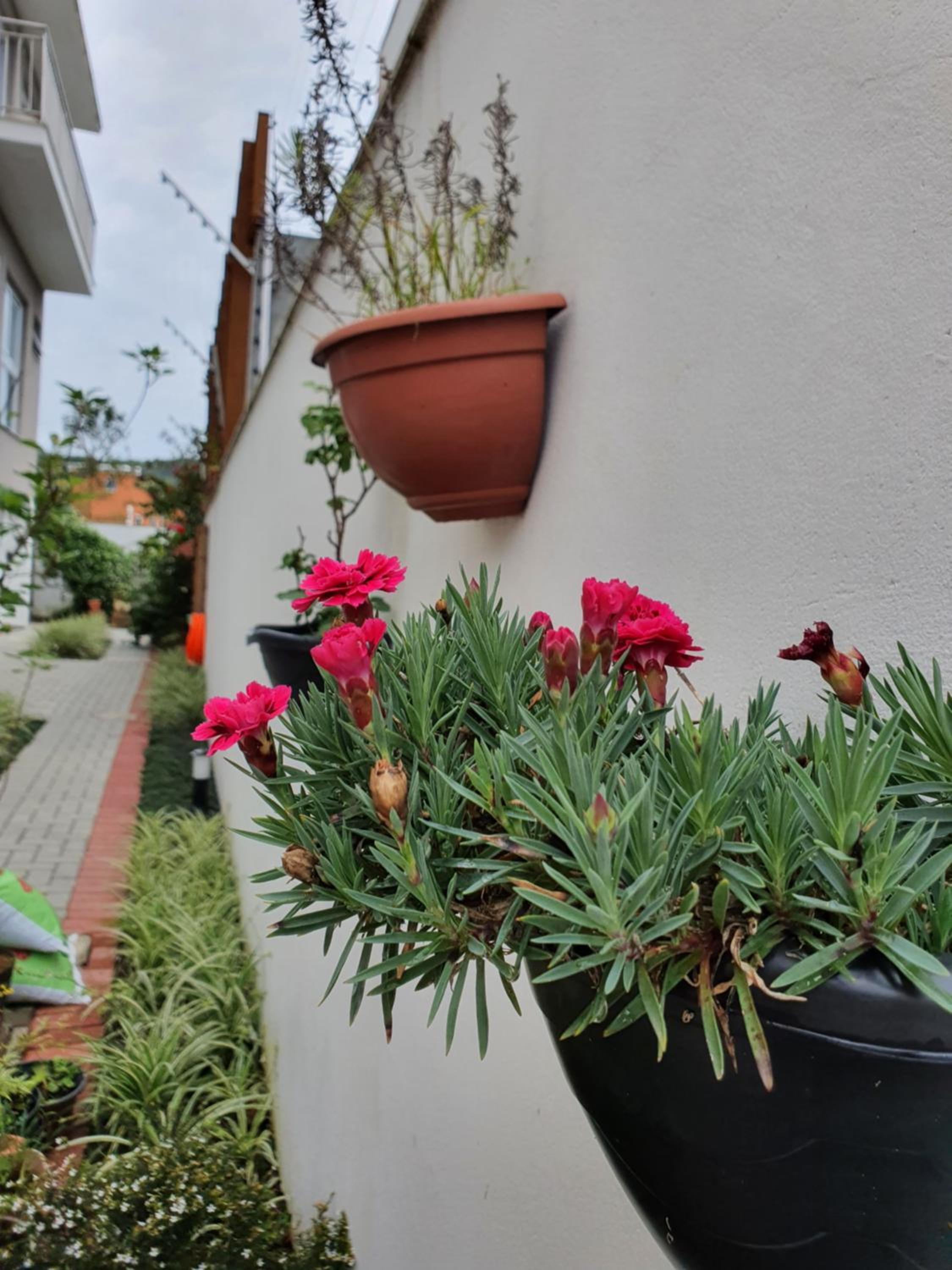 Las Gardenias