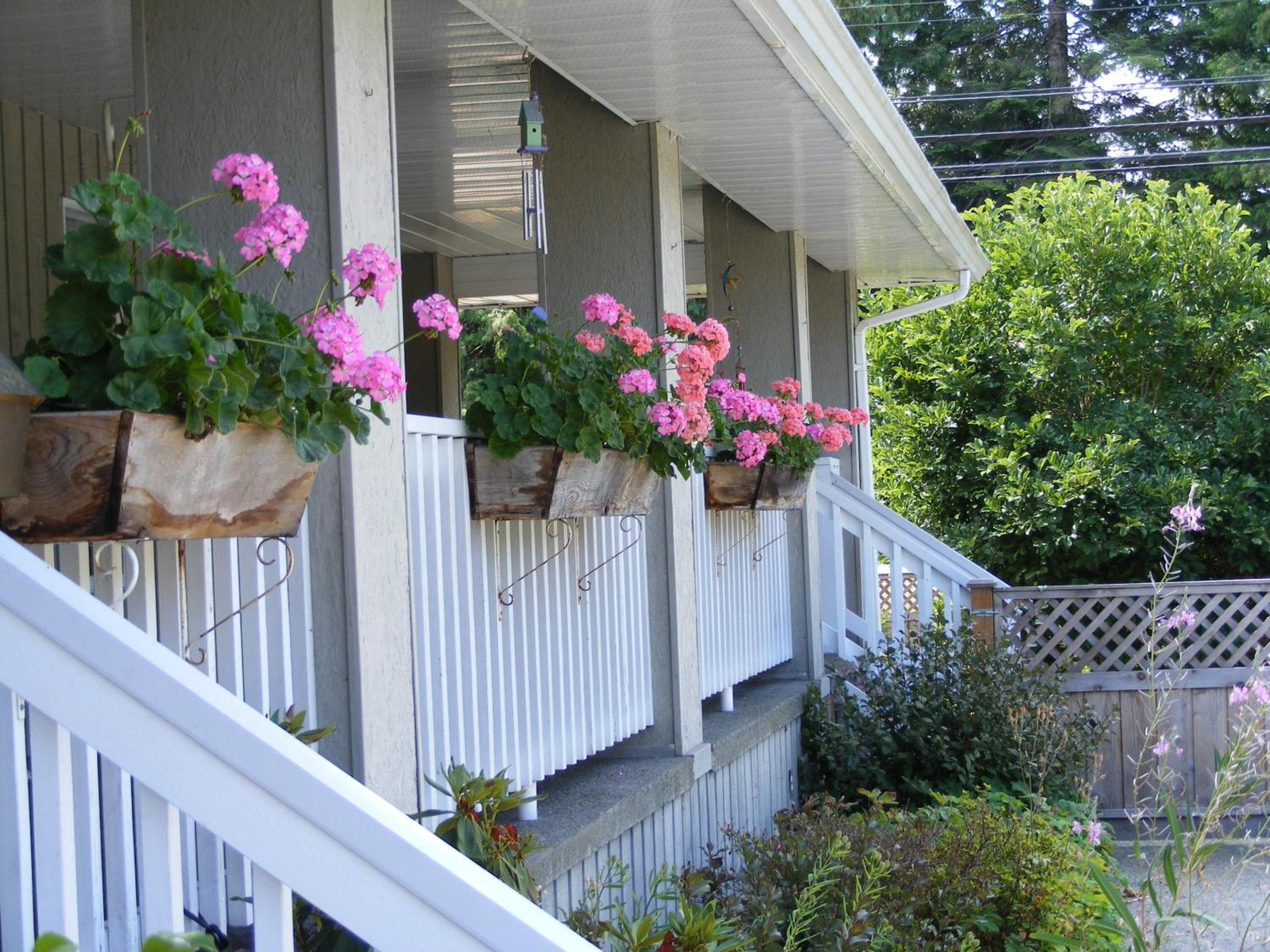 Hummingbird Guesthouse