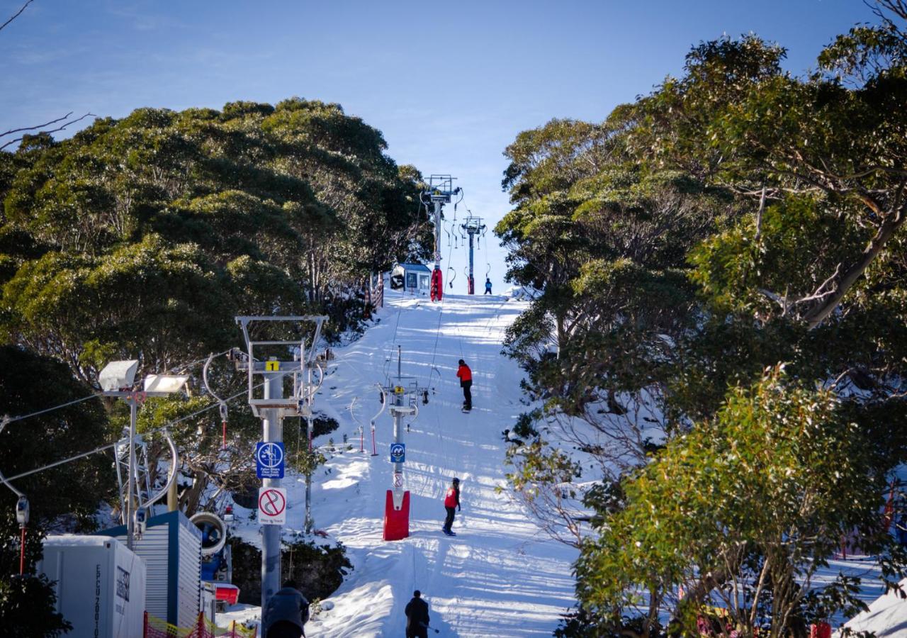 Snow Gum Apartment 2 view 4