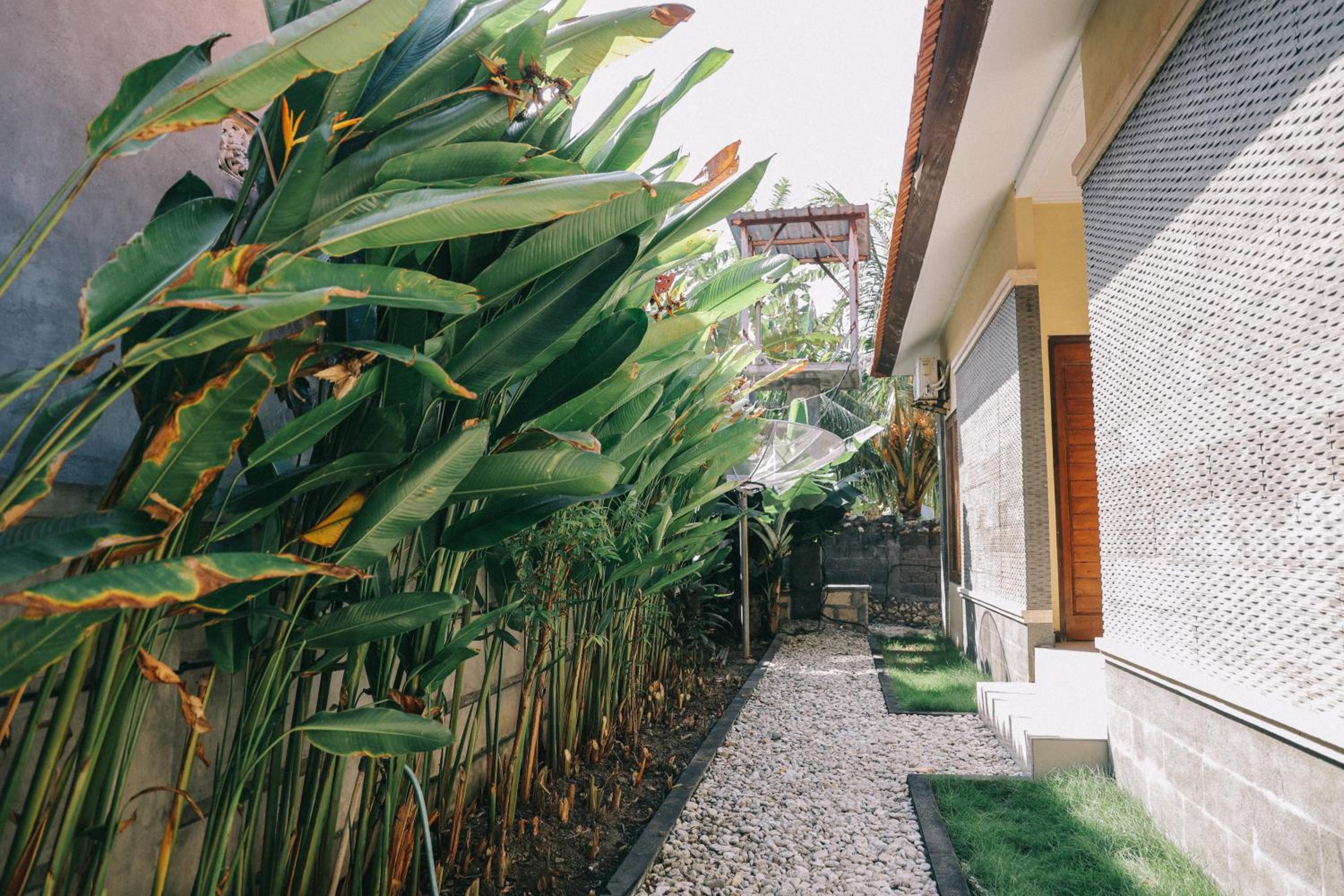 Cave Beach Bungalow