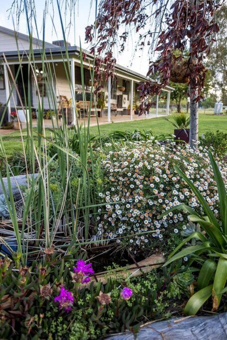 EdenValley Private Manicured Gardens with Fire Pit