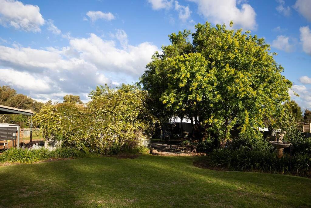 EdenValley Private Manicured Gardens with Fire Pit
