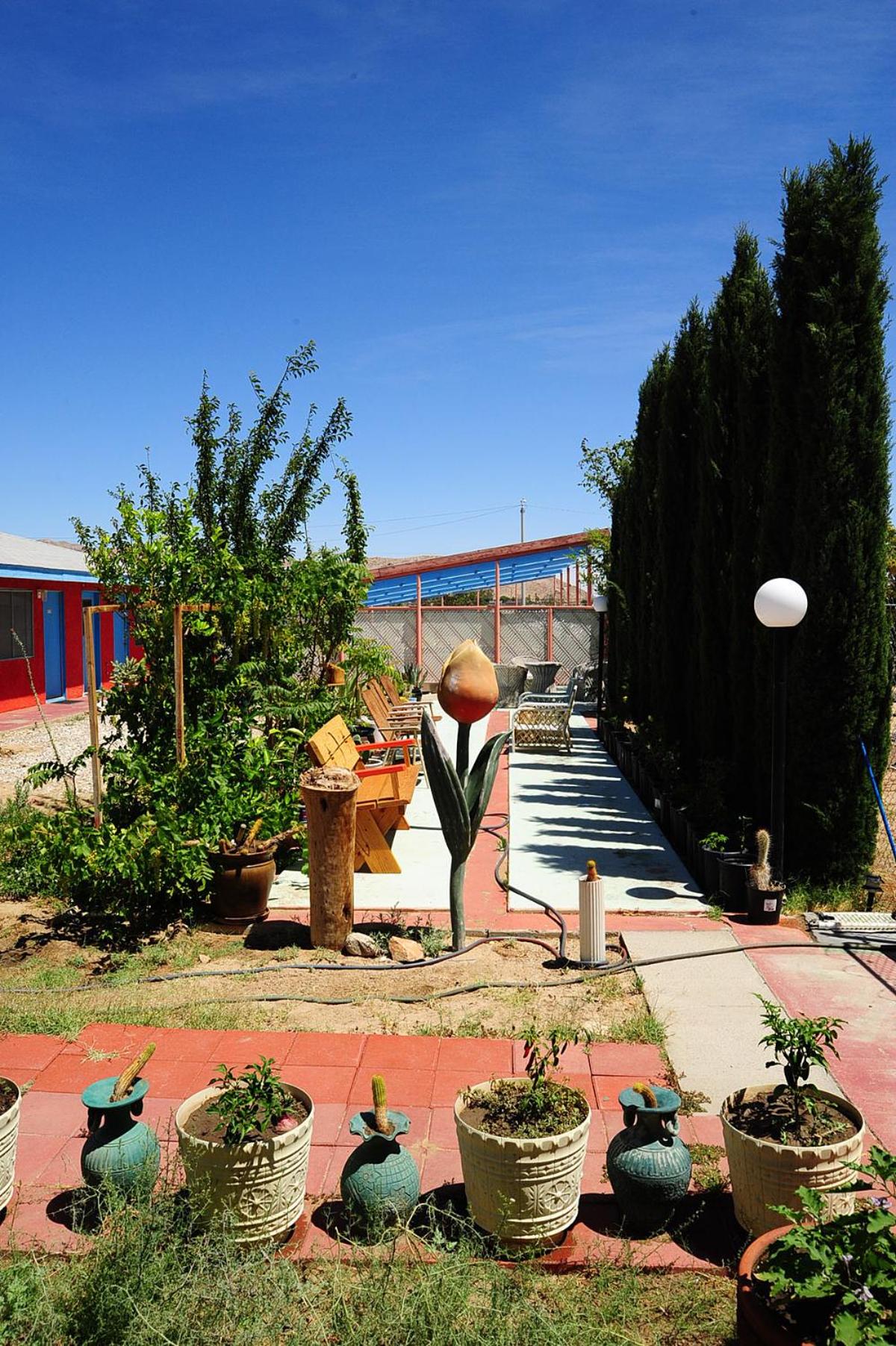 Photo 48