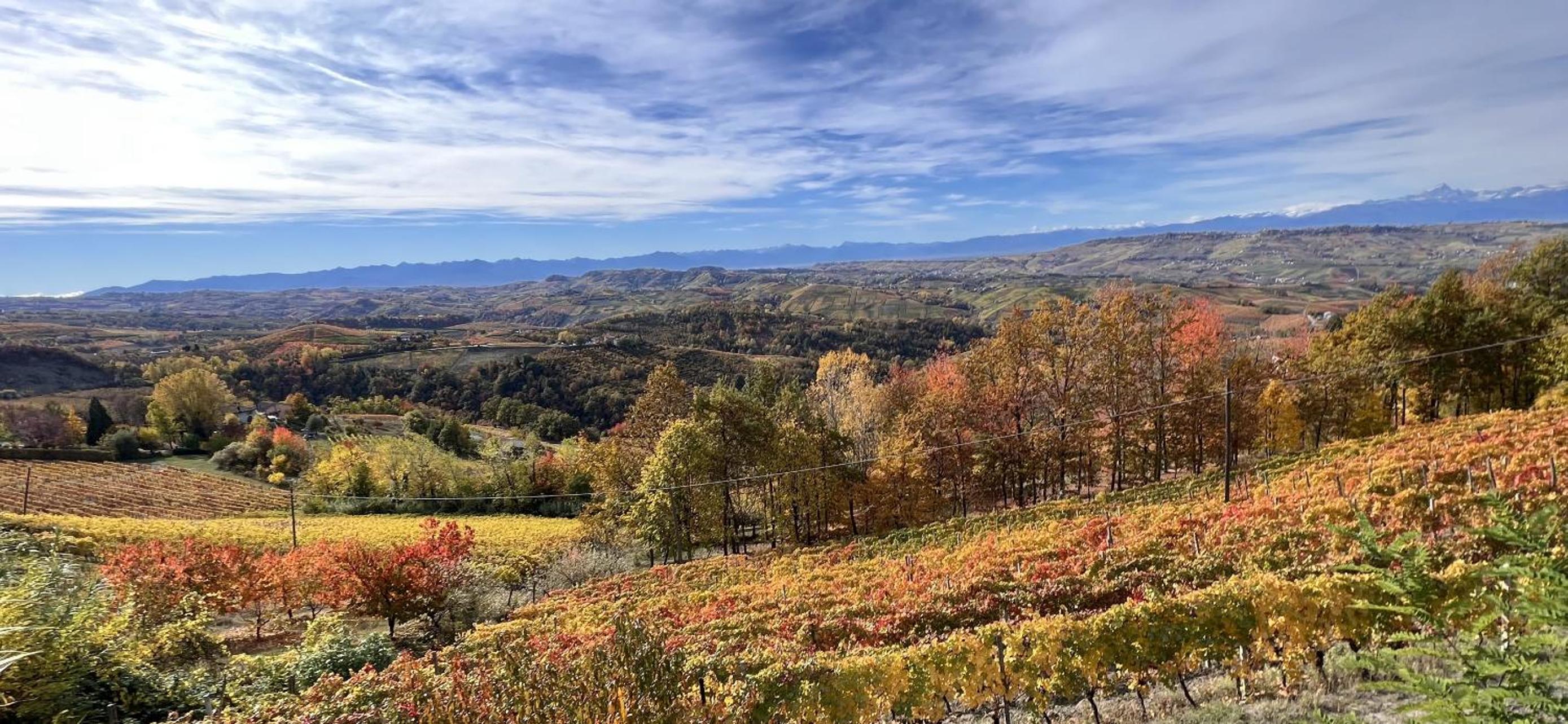 Il paradiso del relax house in the Langhe - PANORAMIC VIEW view 3