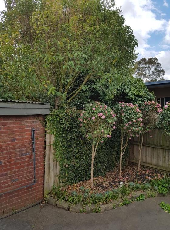 Creek Cottage Bed and Breakfast Traralgon