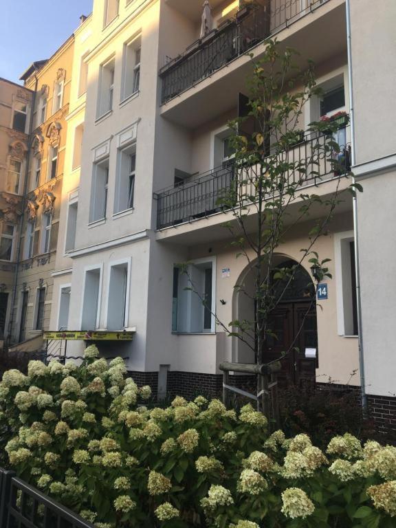 KAZIA Apartment in My Center 9
