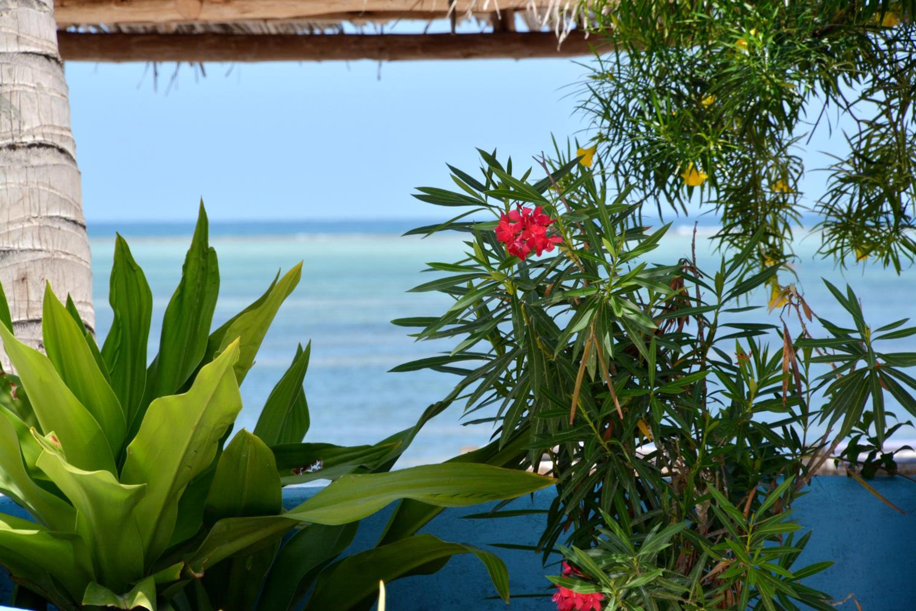 Kiwengwa Vacations - Blu Marlin Village - Property Image 148