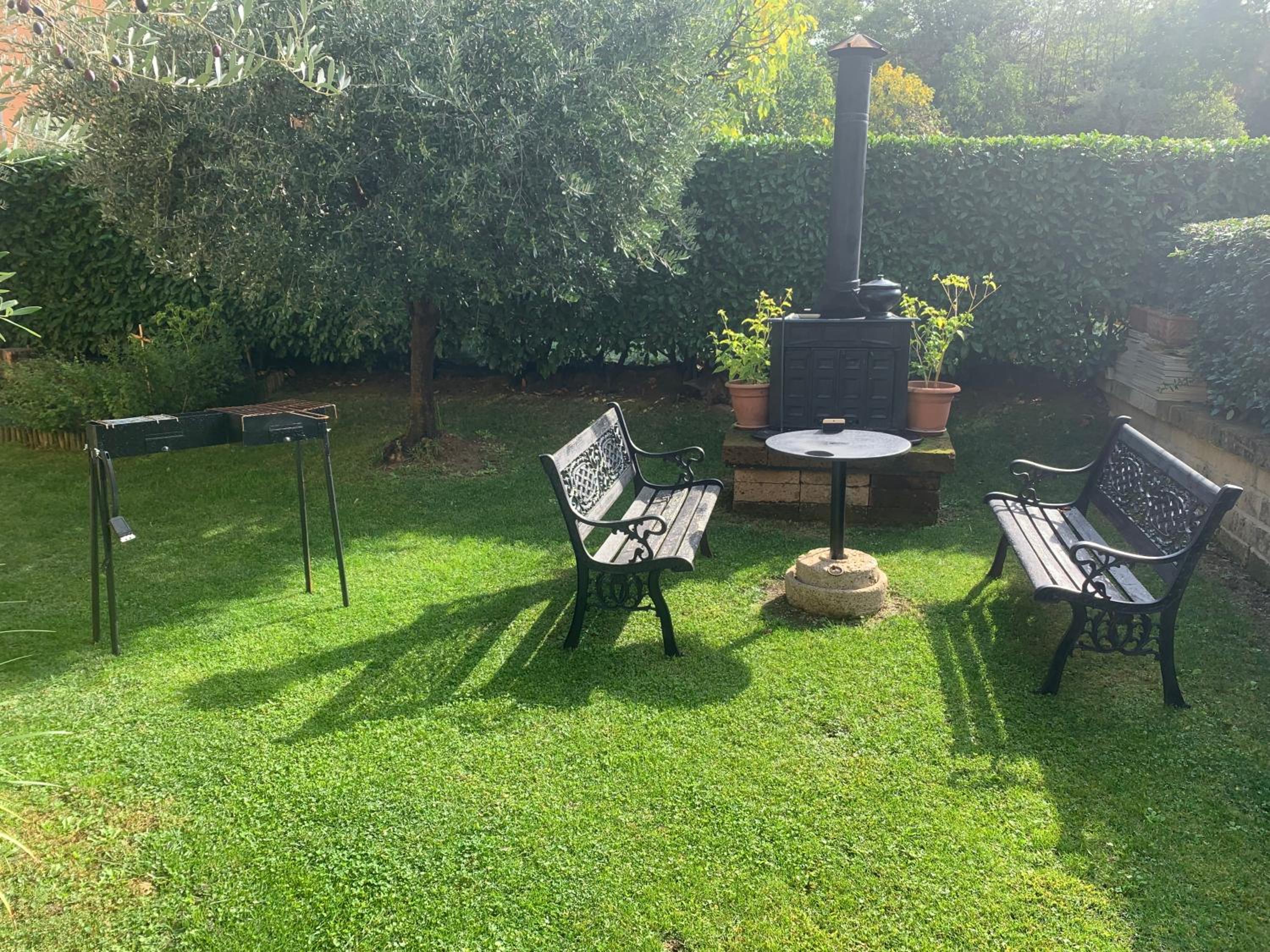 Photo 11