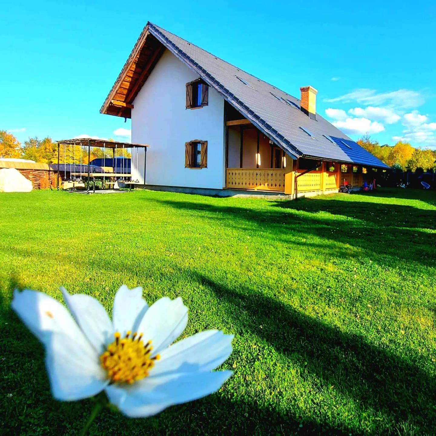 Hotel Cuibul Braneanului