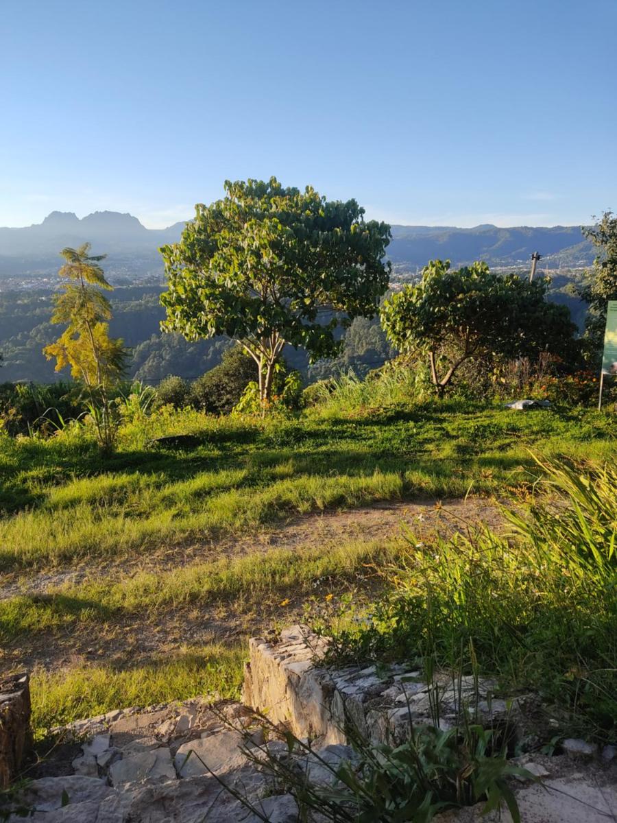 Cabañas Buenavista