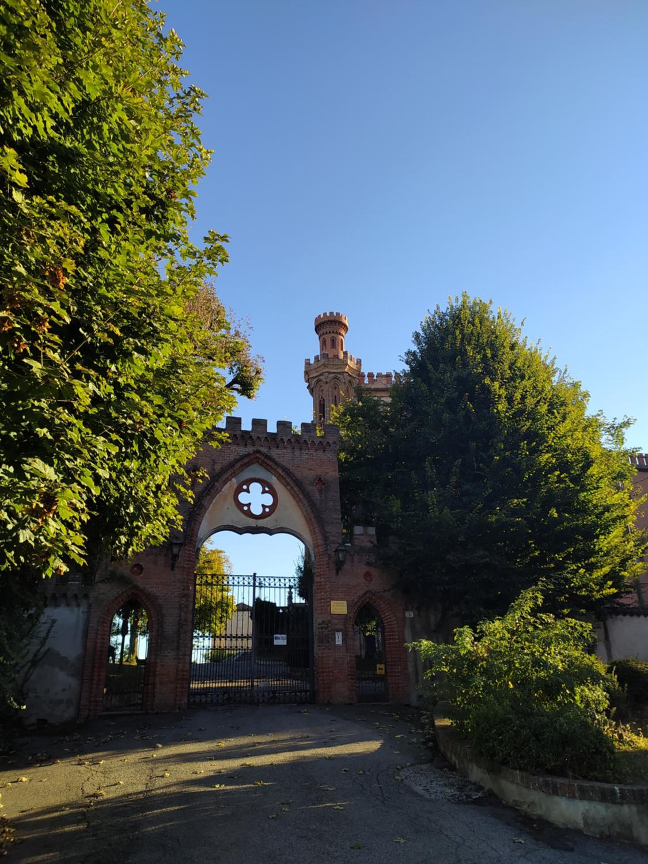 Photo 42