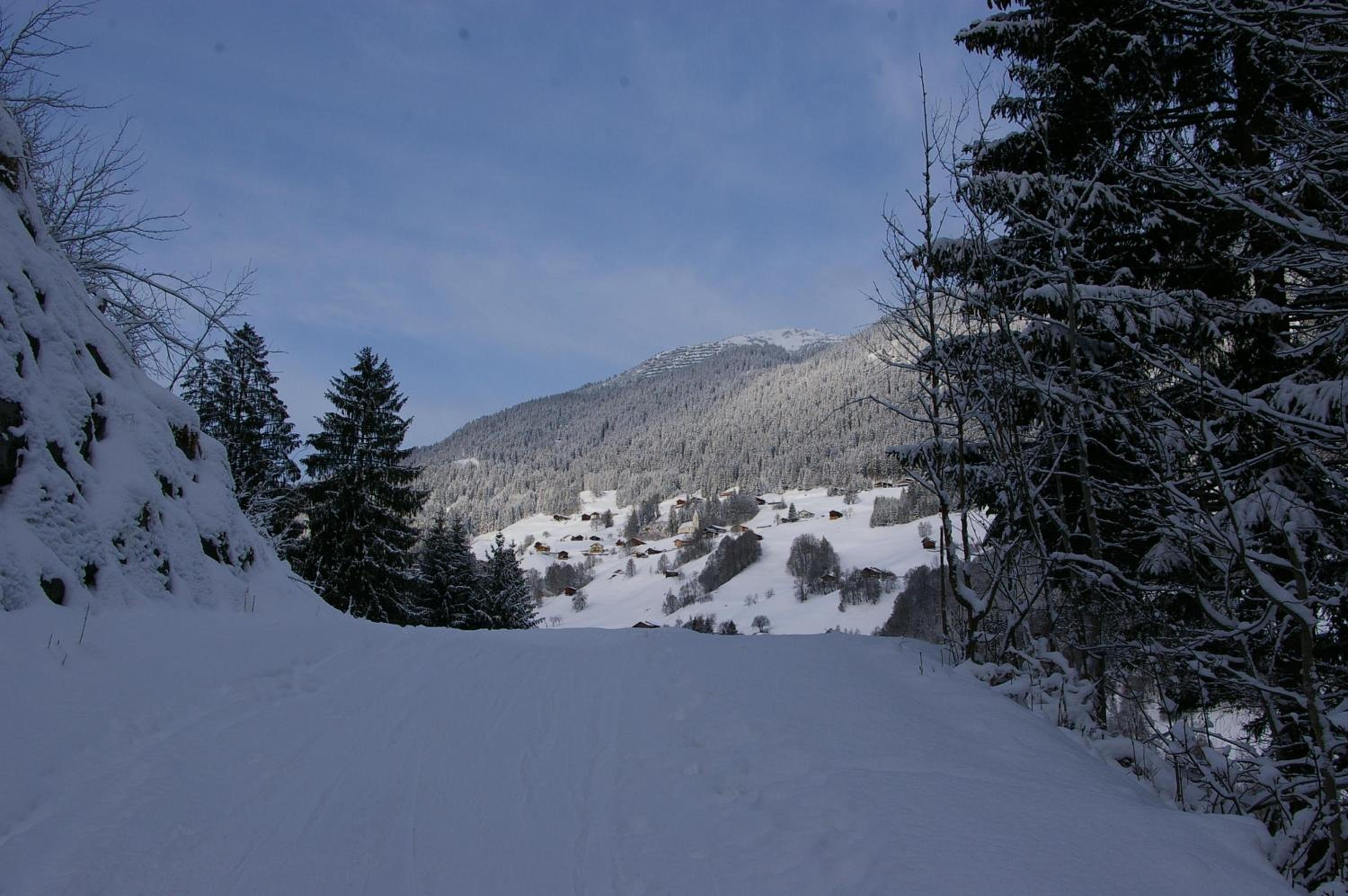Alpenliebe Montafon
