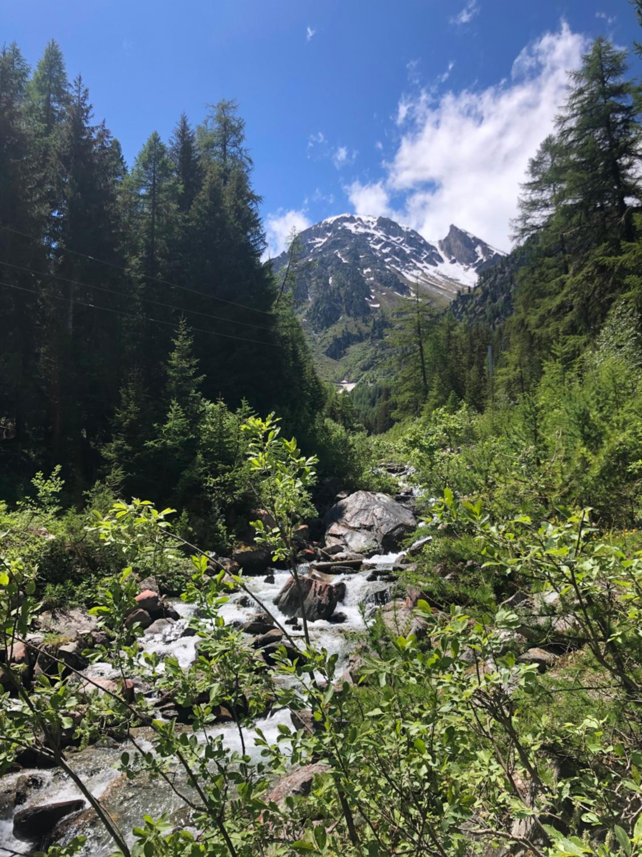 La gentiane view 4