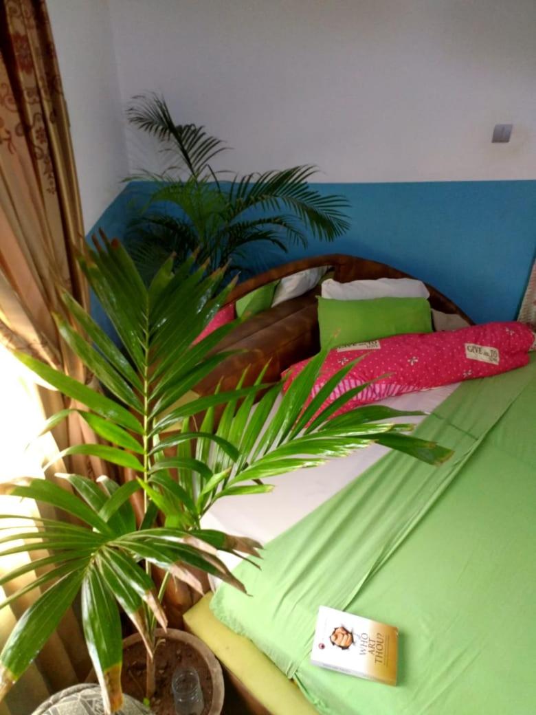 Photo 32