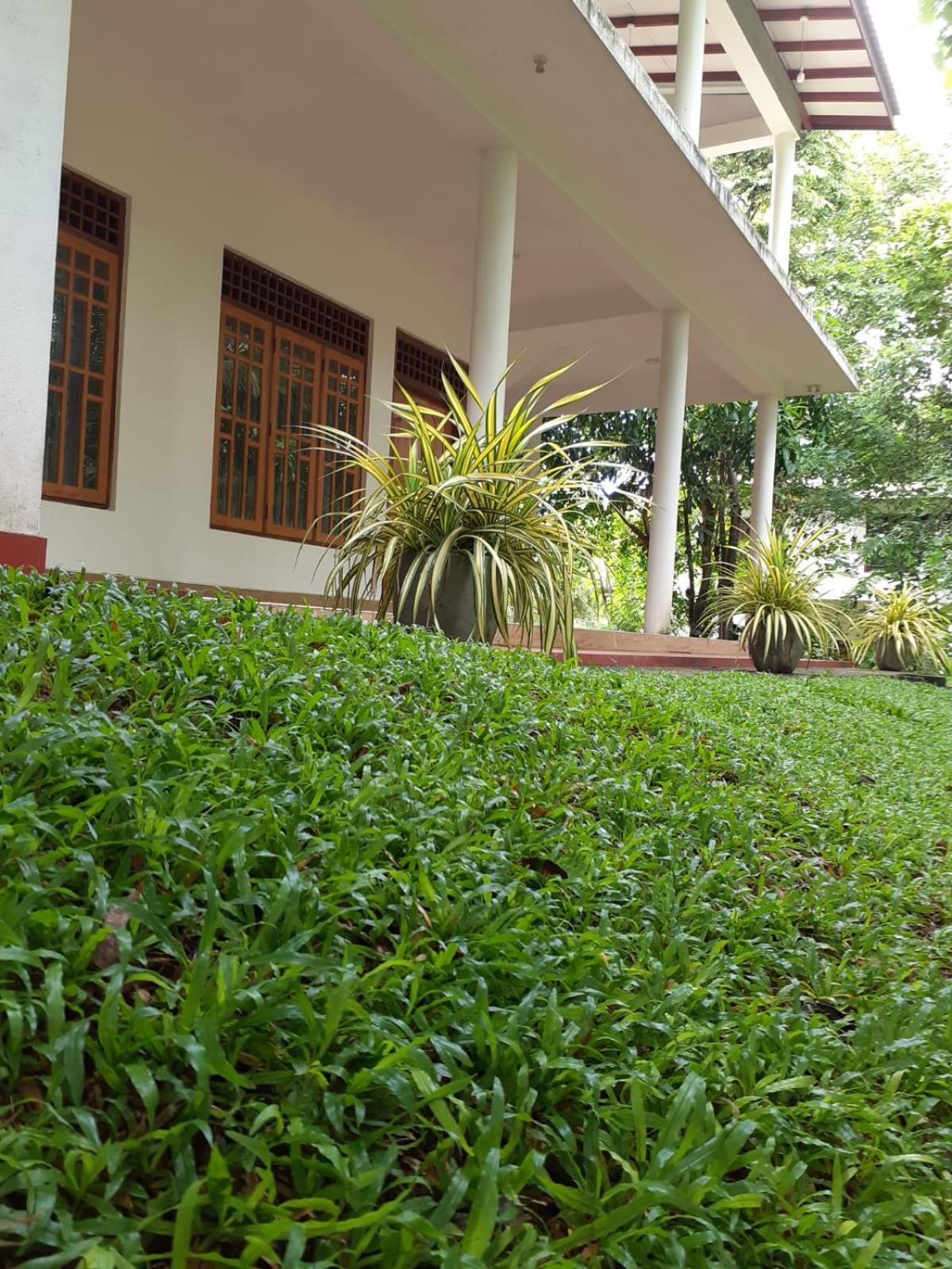 Yonara Green Rest view 4