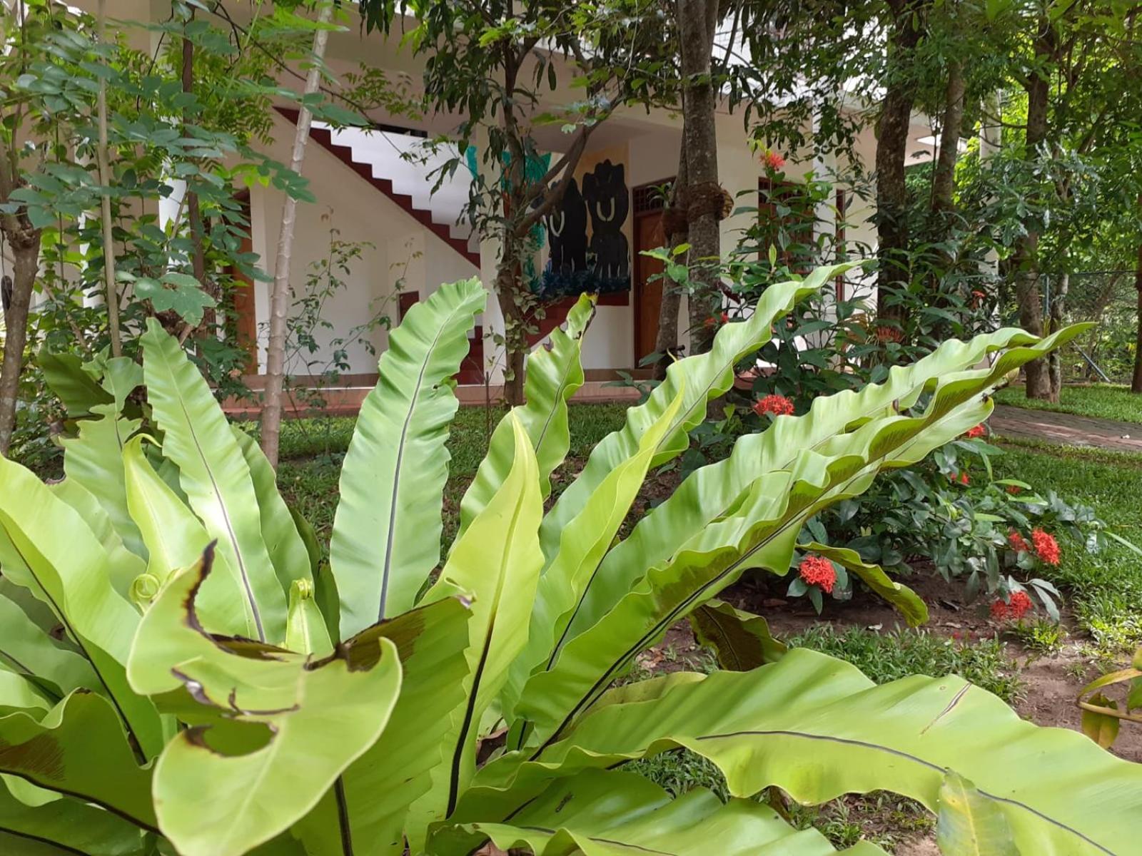 Yonara Green Rest view 3