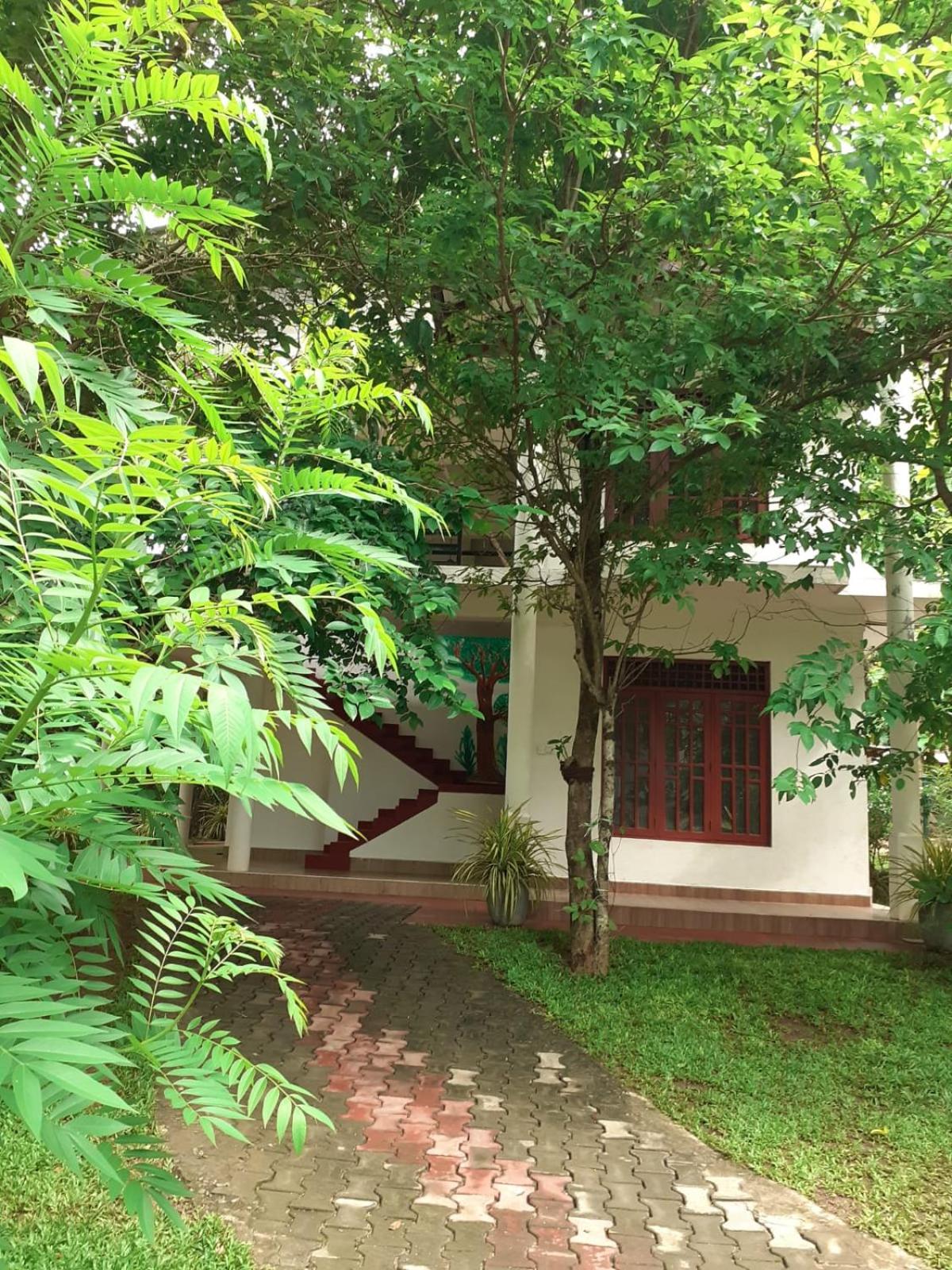 Yonara Green Rest view 2