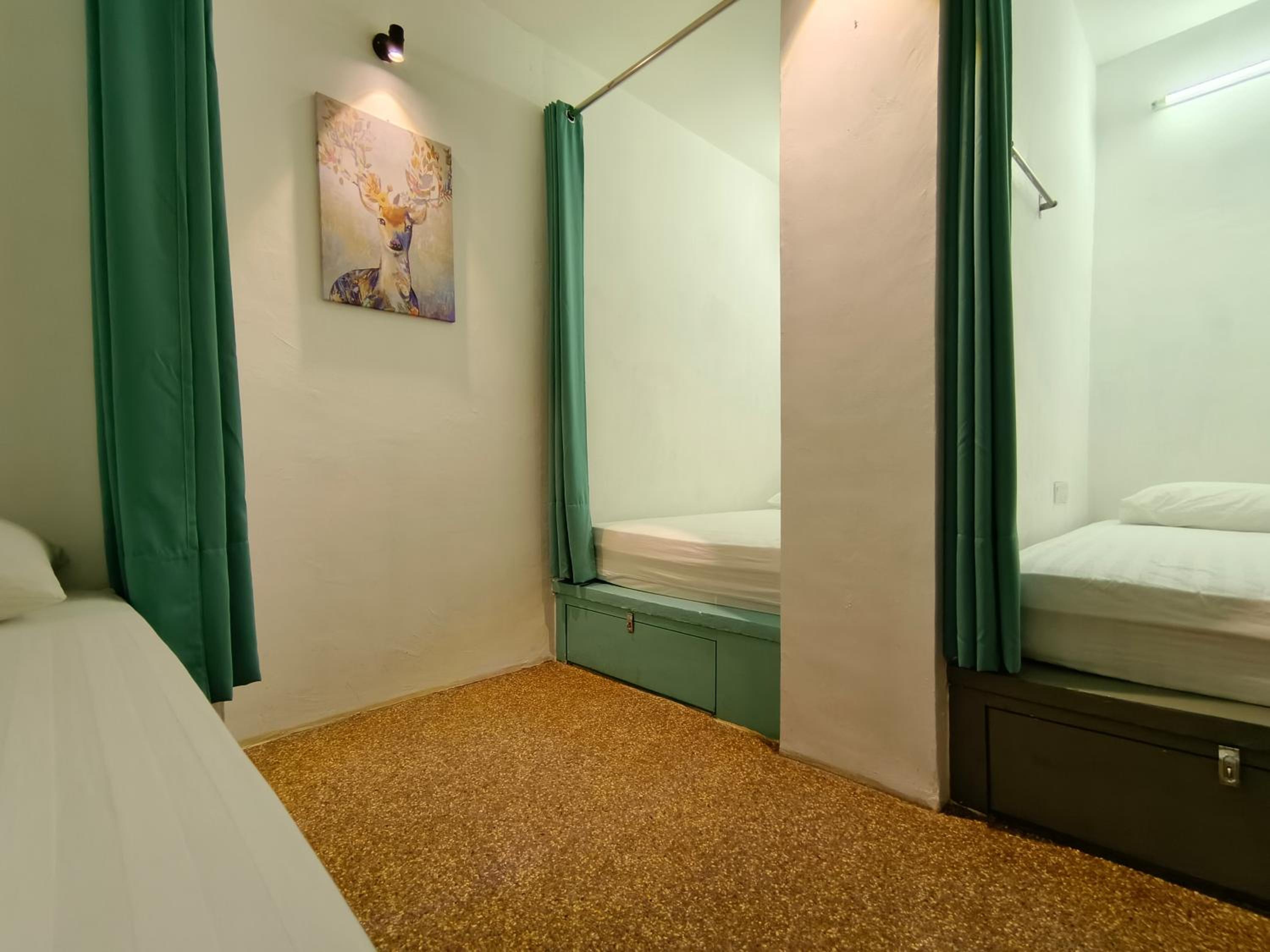 Beds In Garden Hostel photo 8