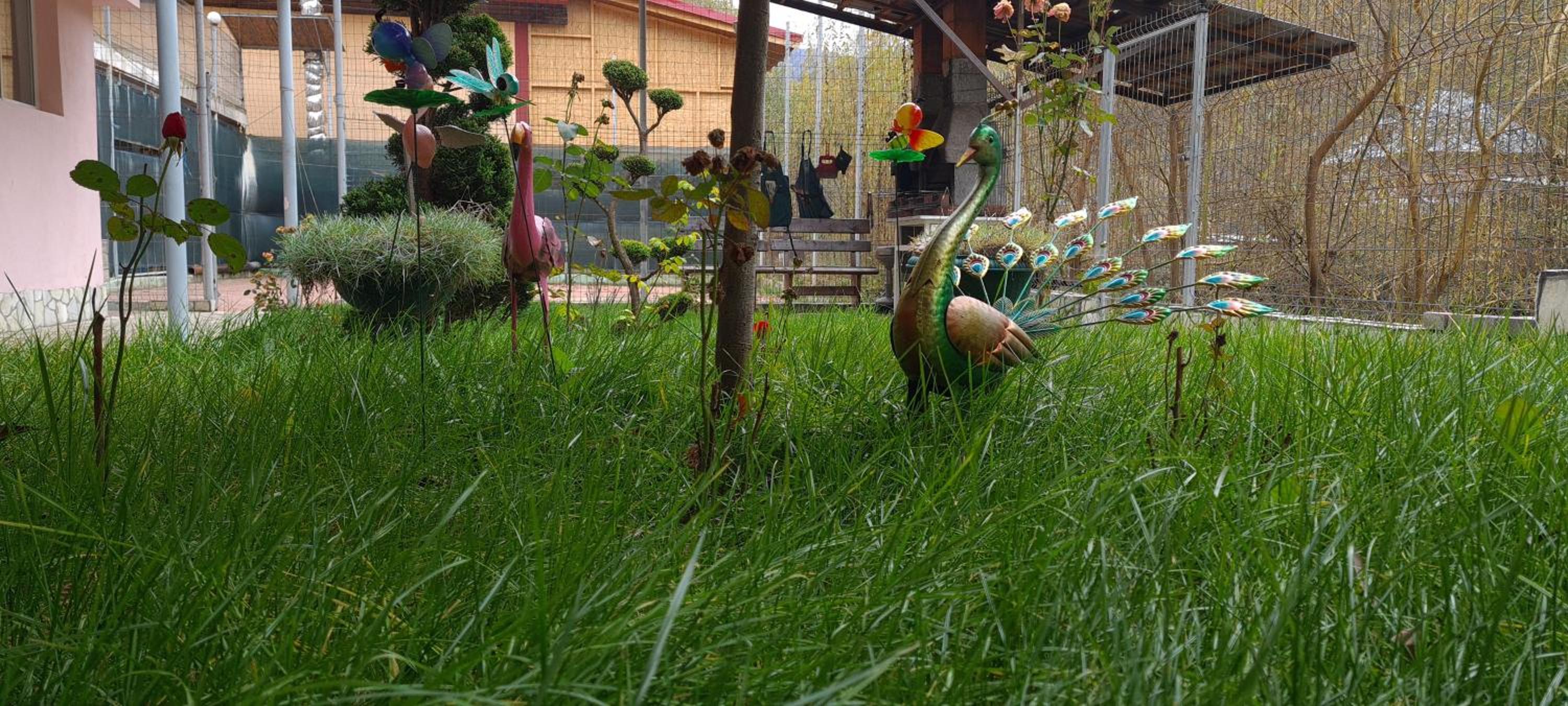 Photo 48