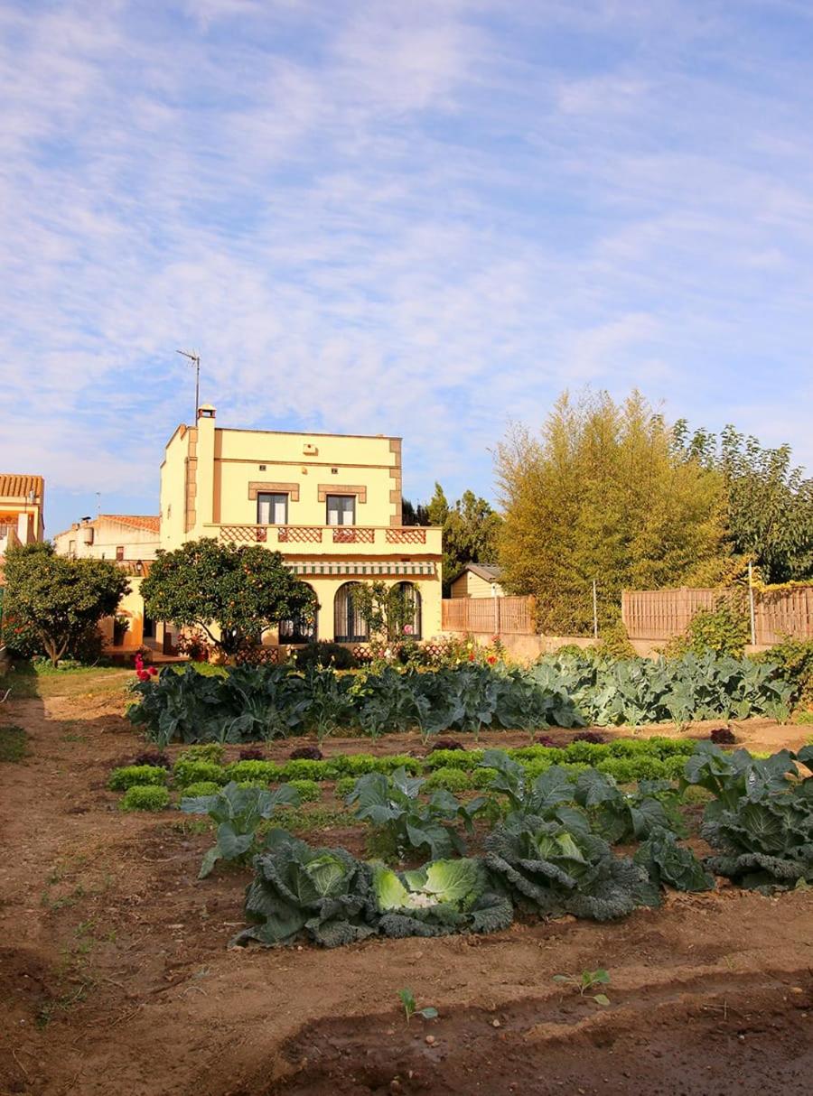 Casa TAPIOLAS view 2