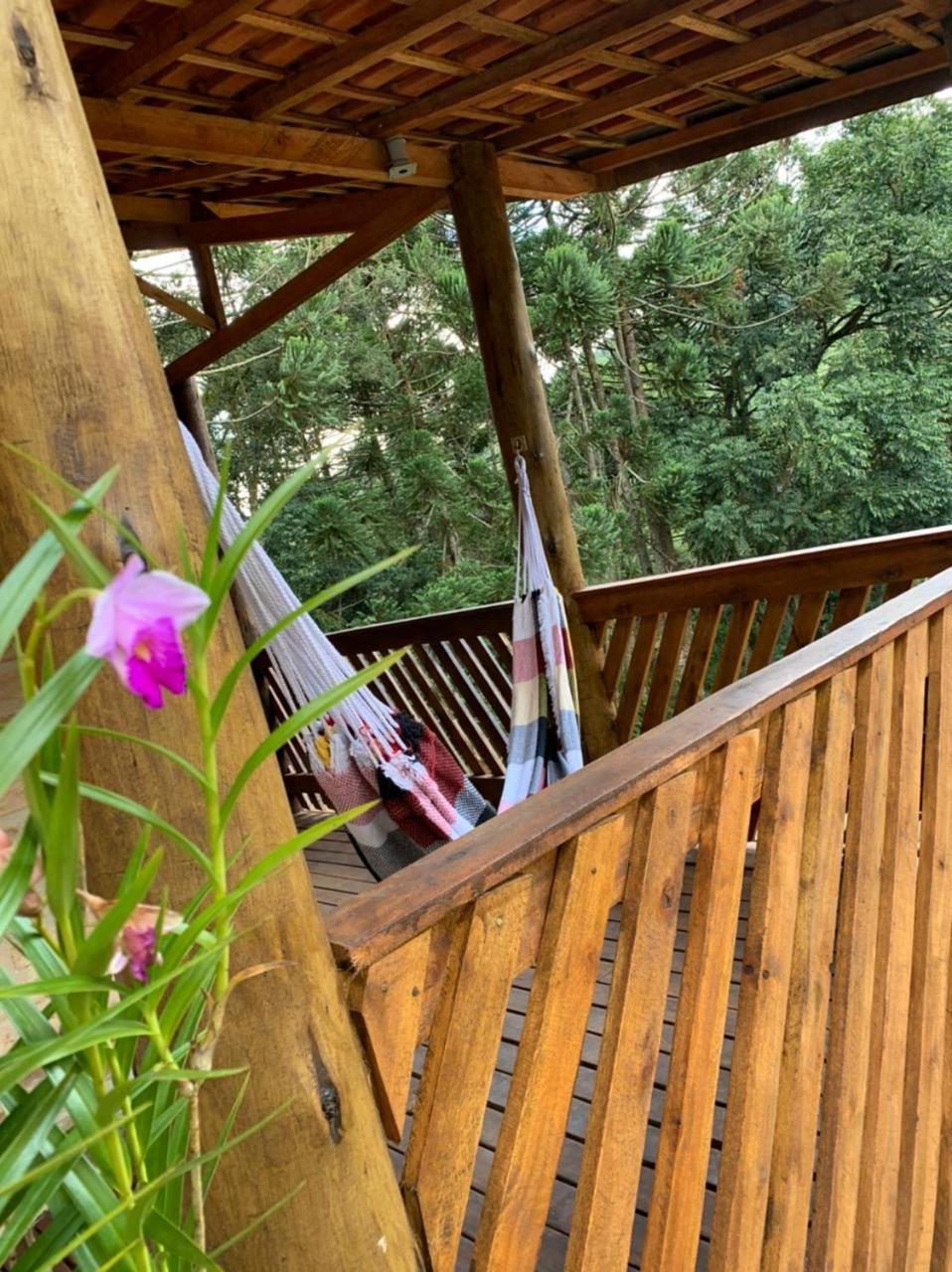 Sitio Nosso Sonho
