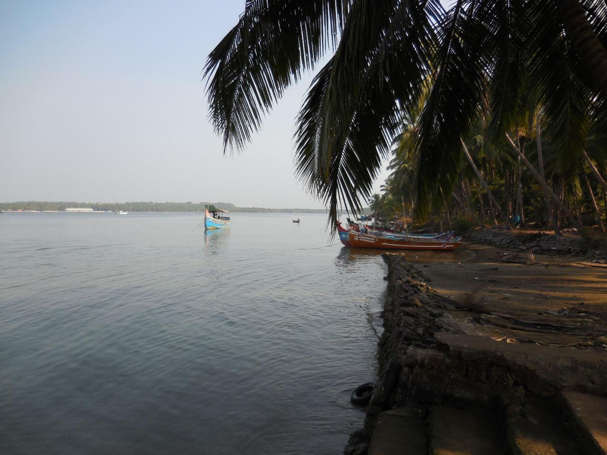 Photo 20