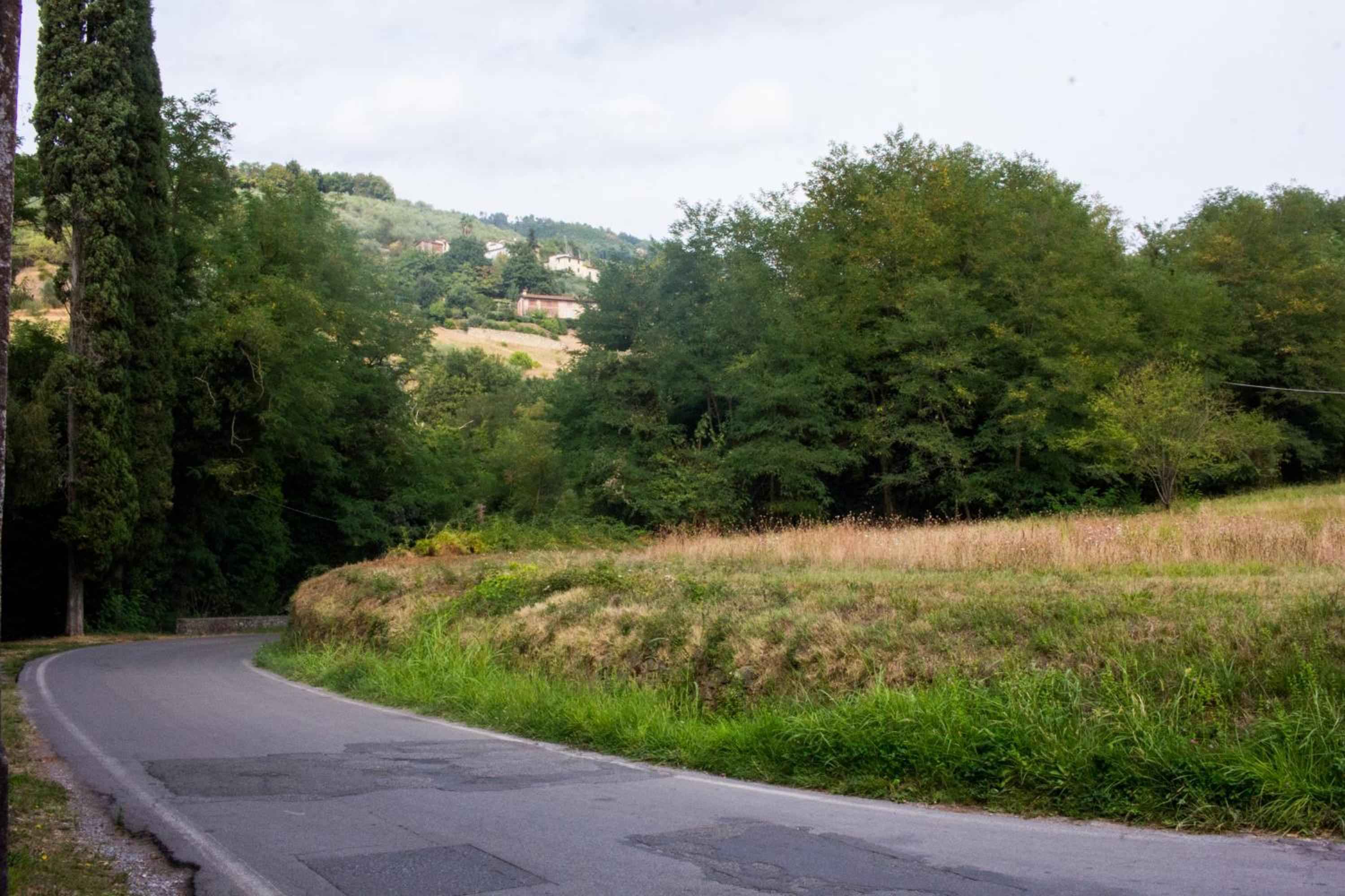 La finestra sul parco view 3