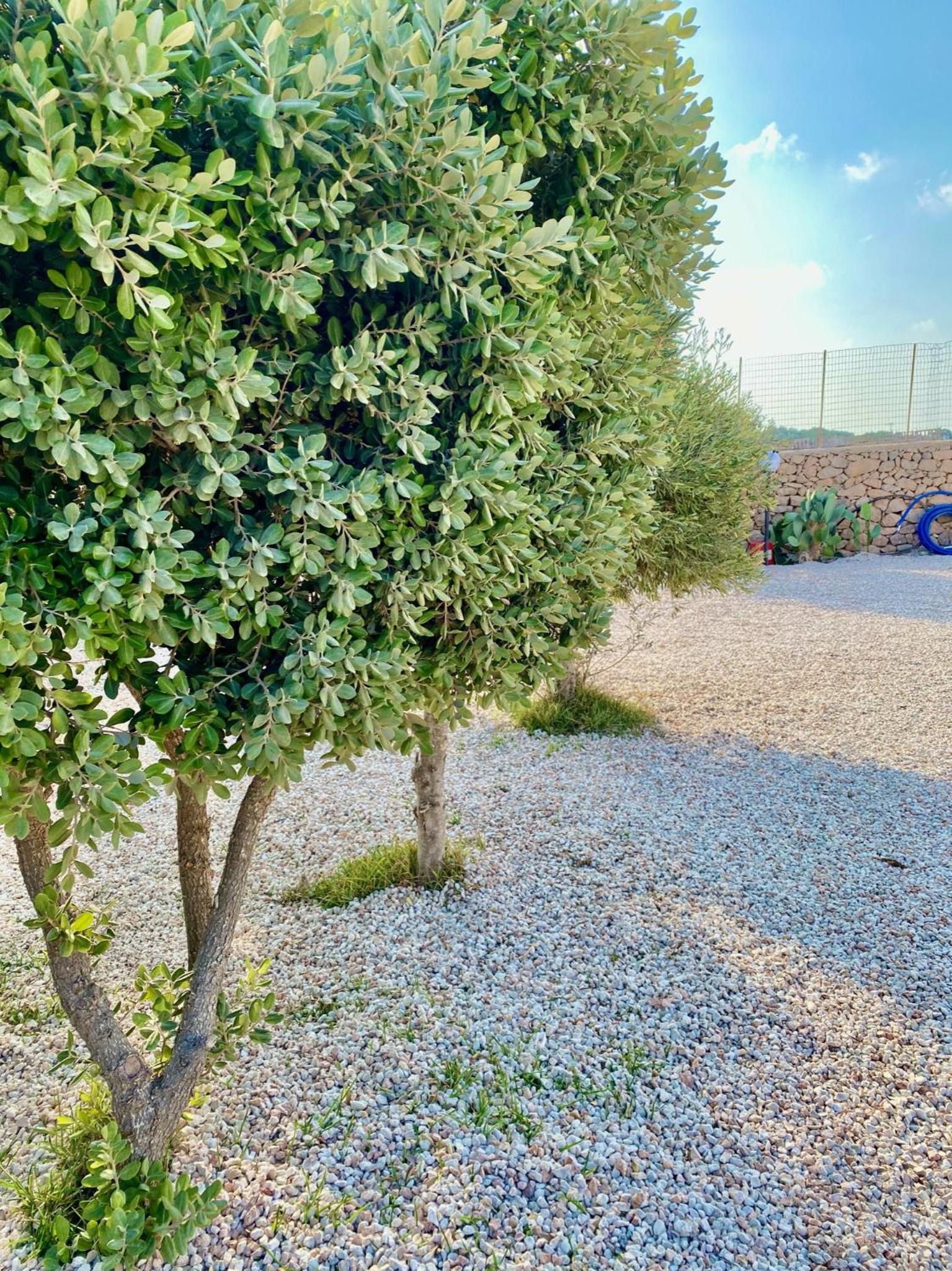 Villa Misangi photo 4