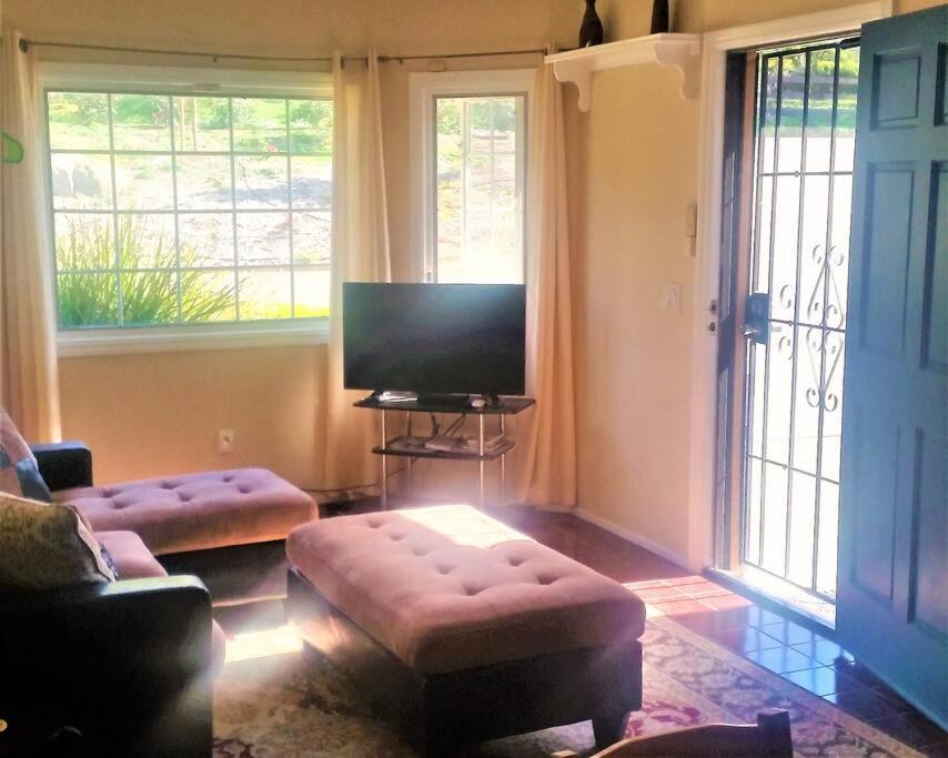 Castlegate Guest Apartment view 5