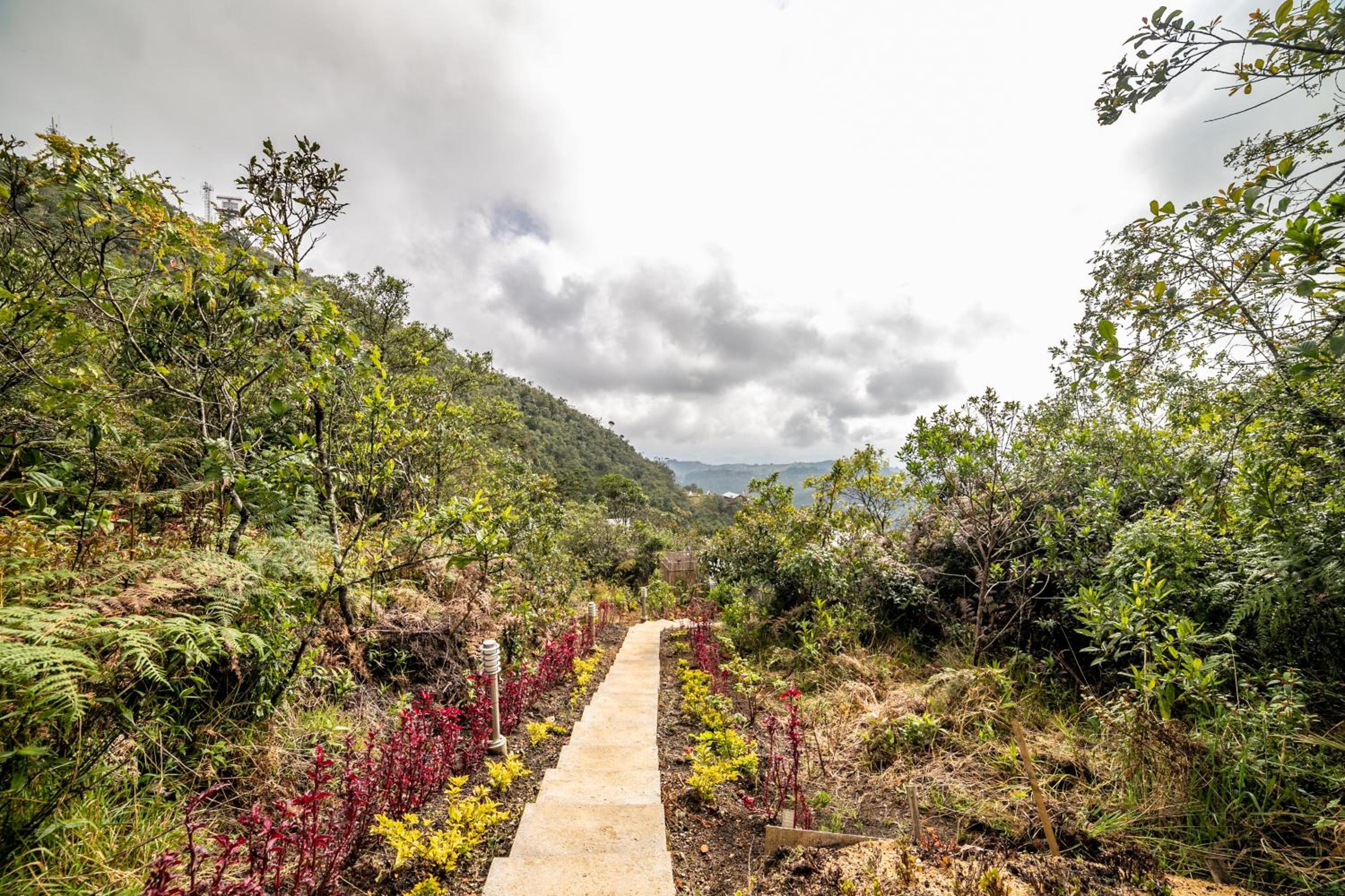 Cerro Verde Mirador view 5