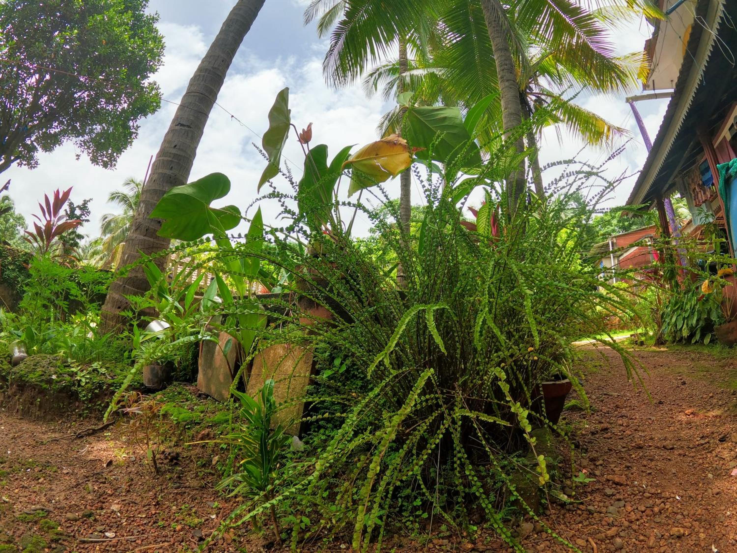 Maria's Homestay by Vyom Trails view 2