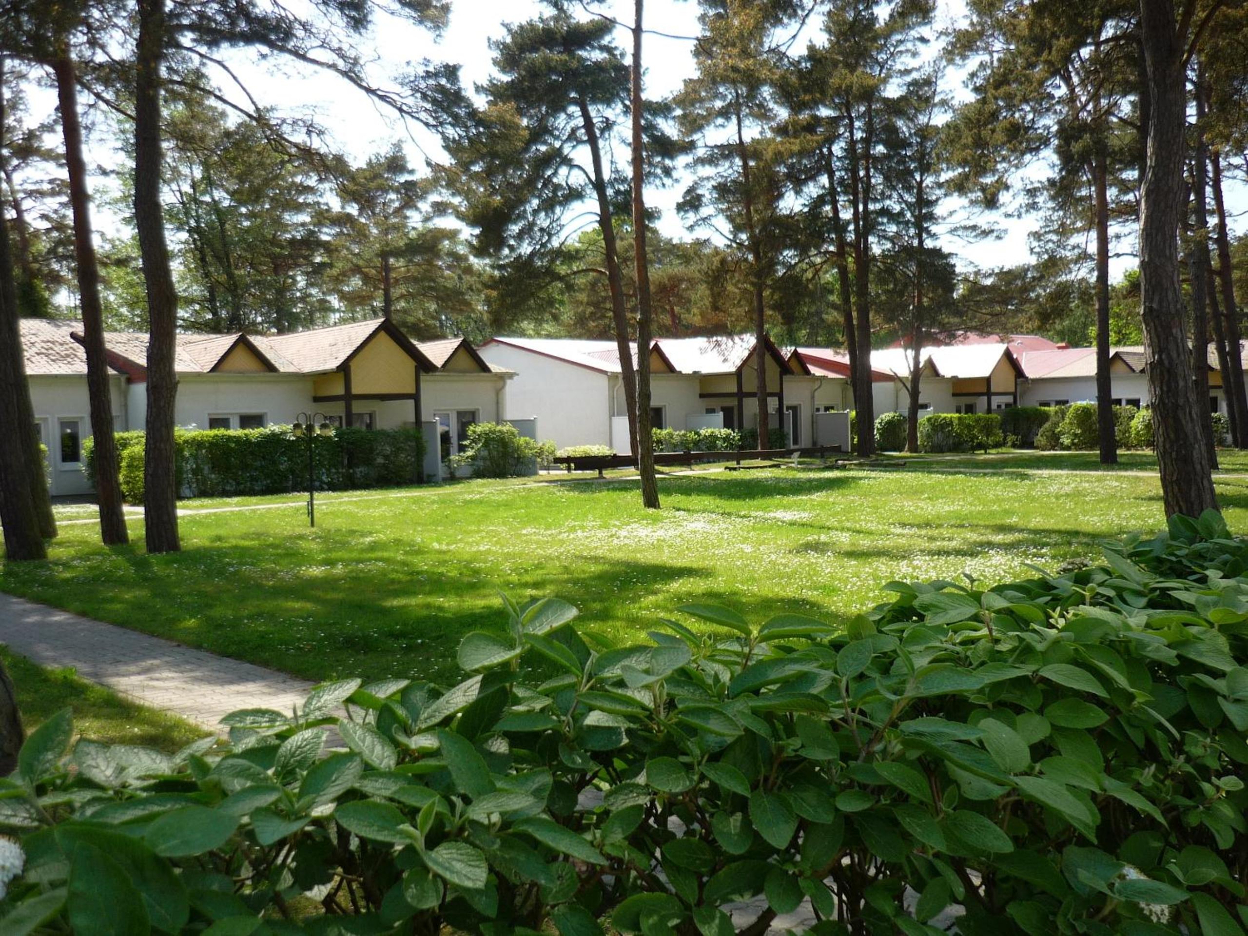 Photo 39