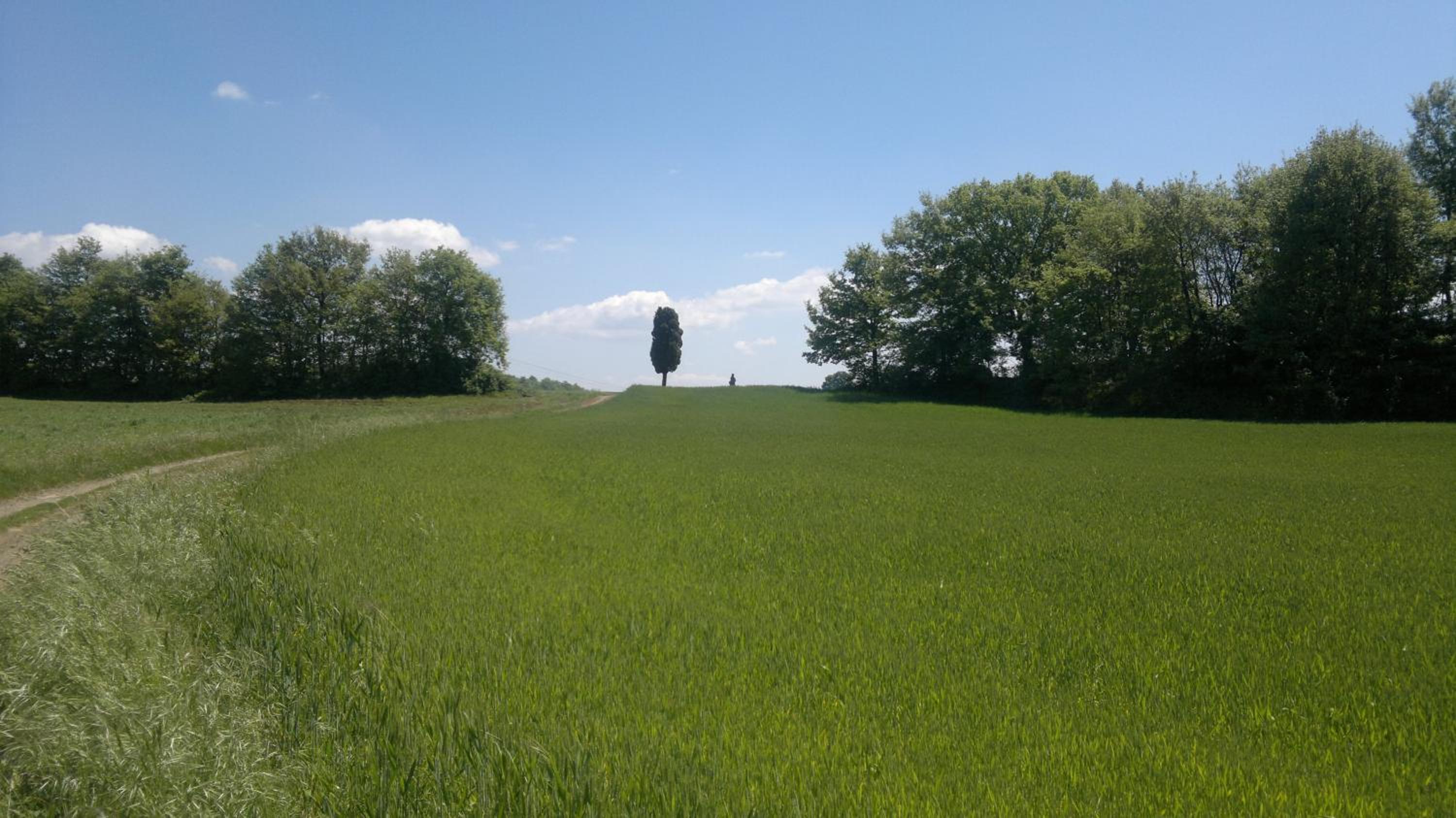 Appartamento Miralago Bolsena