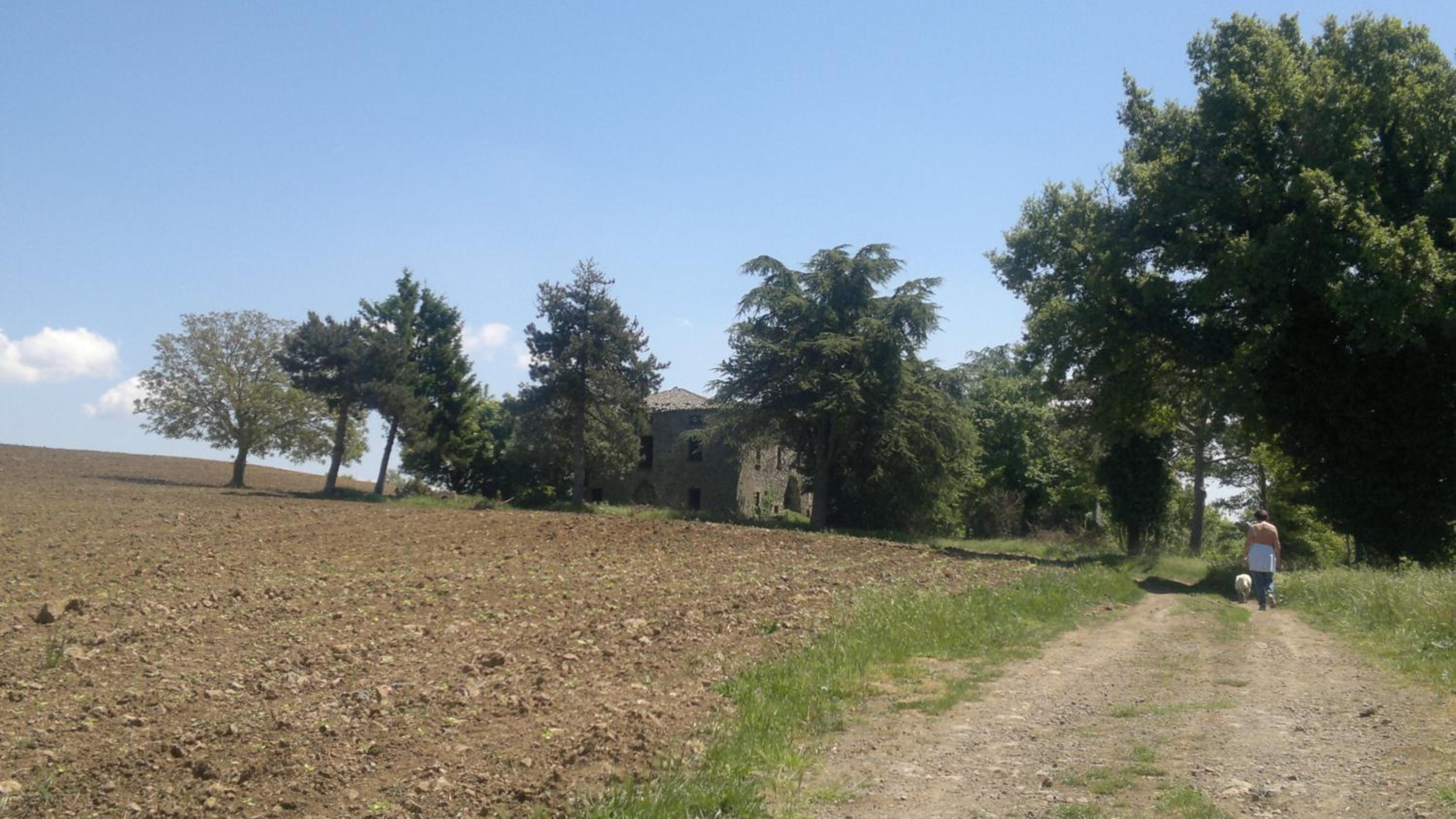 Appartamento Miralago Bolsena
